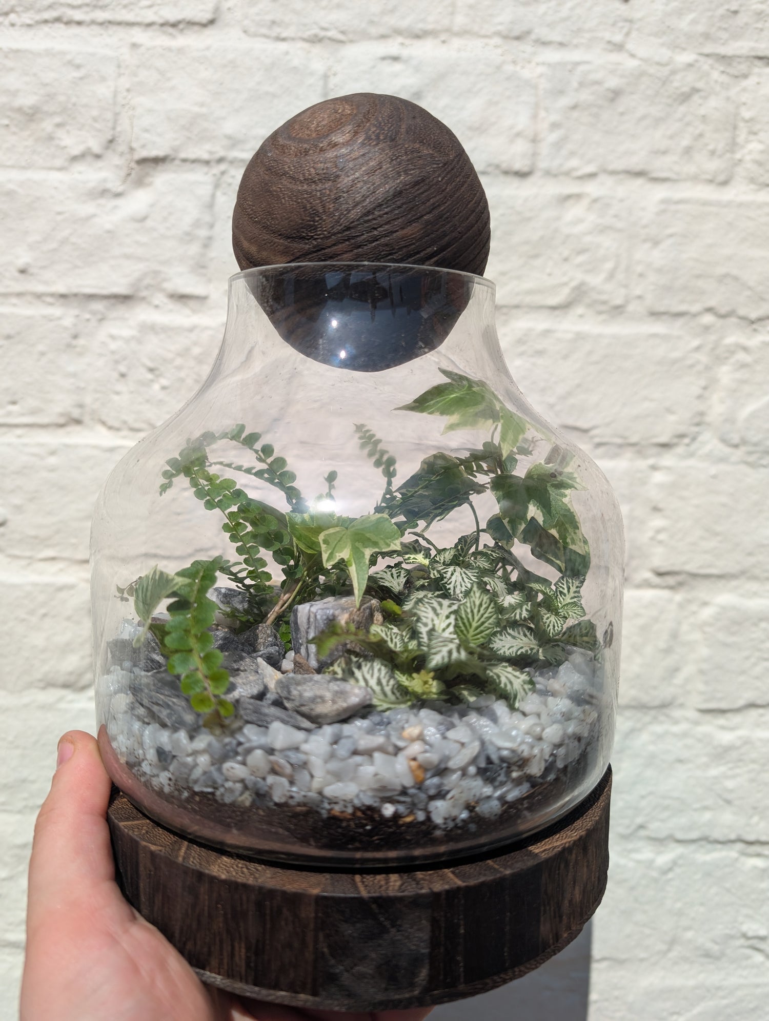 Glass closed terrarium with round cork -3 sizes available