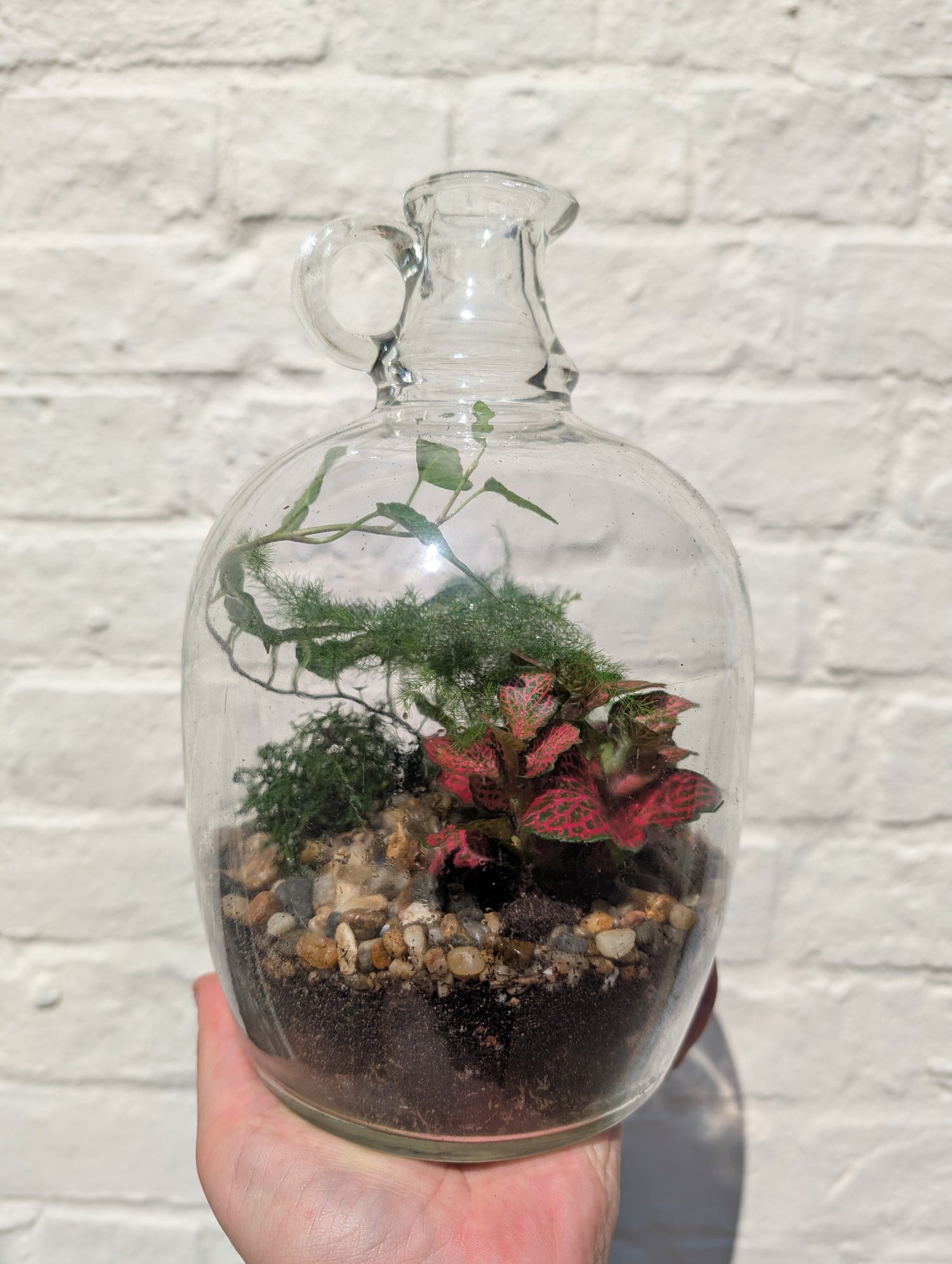 Glass Bottle with handle Terrarium