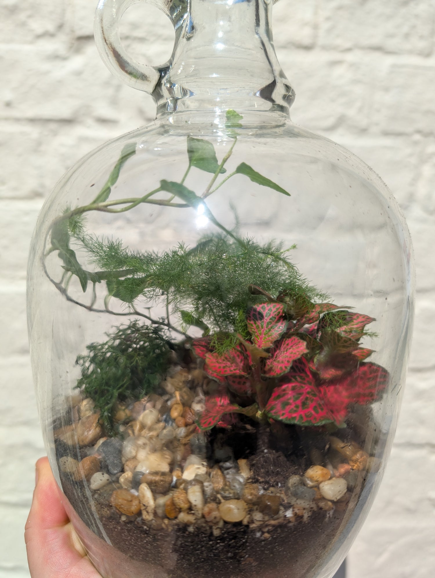 Glass Bottle with handle Terrarium