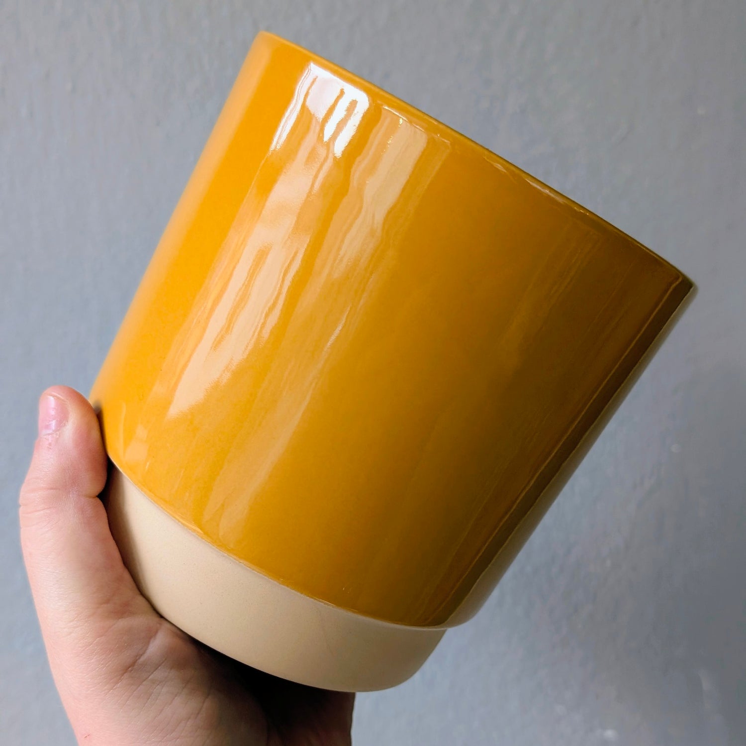 Ivyline Eno Ceramic Pots