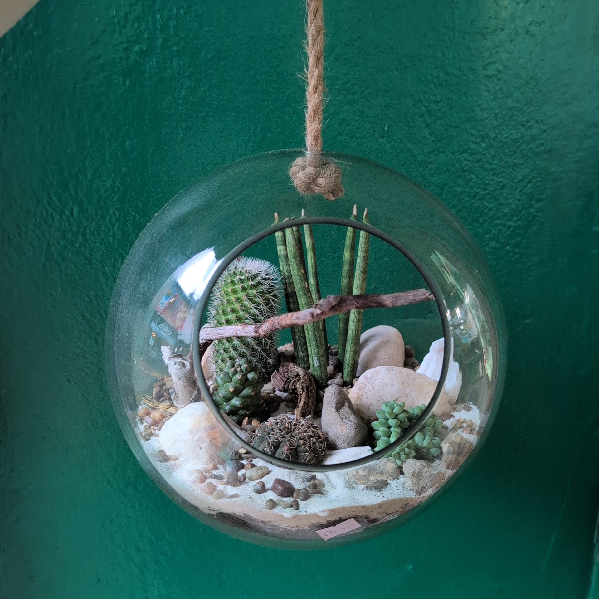 Large Hanging Globe Open Terrarium