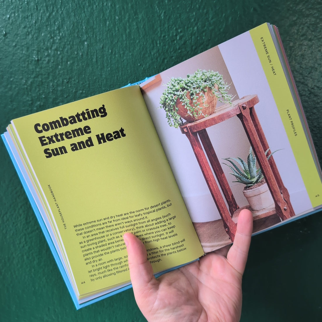 The Houseplant Handbook by Maddie and Alice Bailey