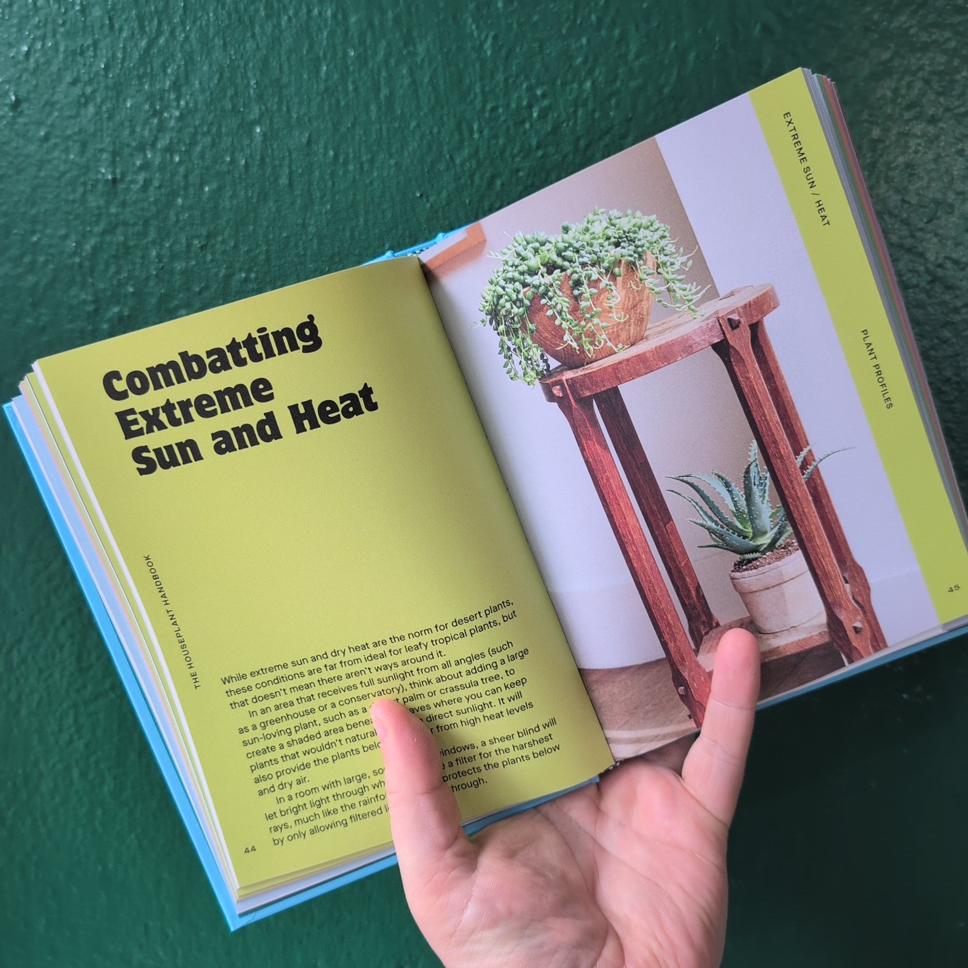 The Houseplant Handbook by Maddie and Alice Bailey