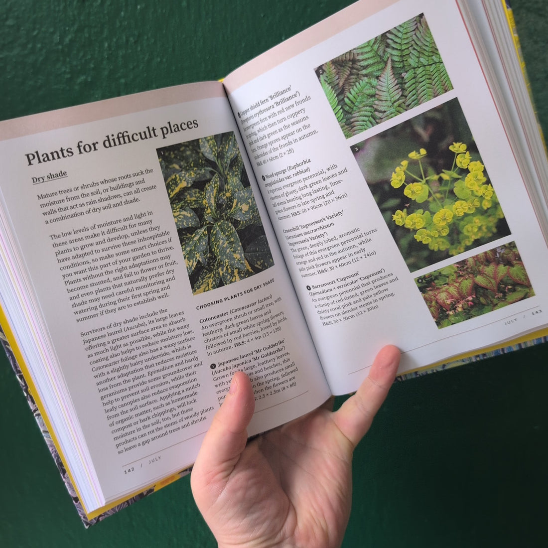 RHS The Garden Almanac 2026