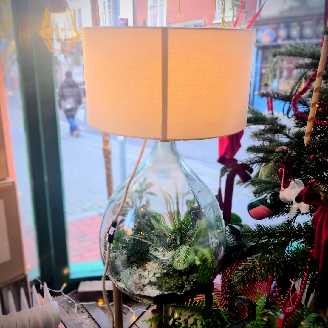 Terrarium Lamp (Various Sizes)