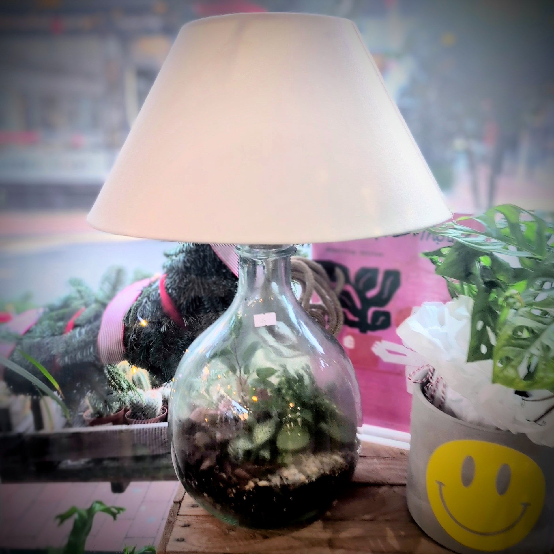 Terrarium Lamp