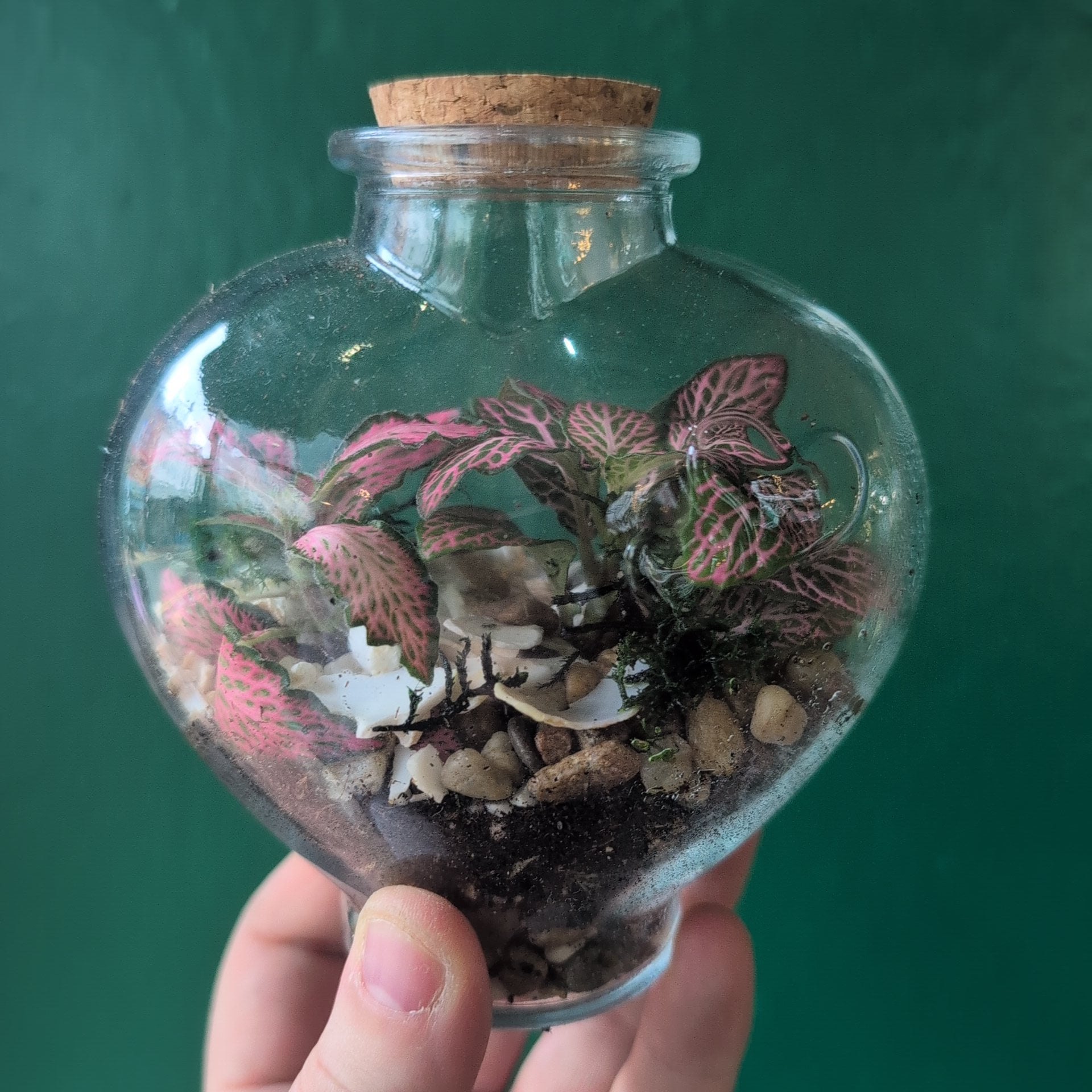 Heart Terrariums