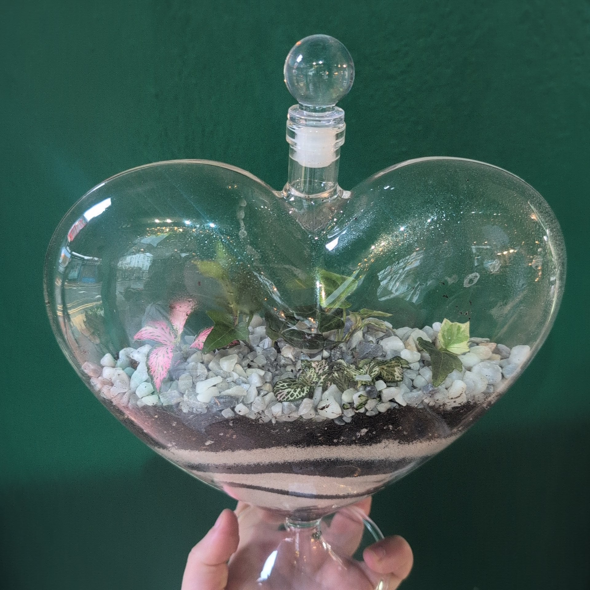 Heart Terrariums