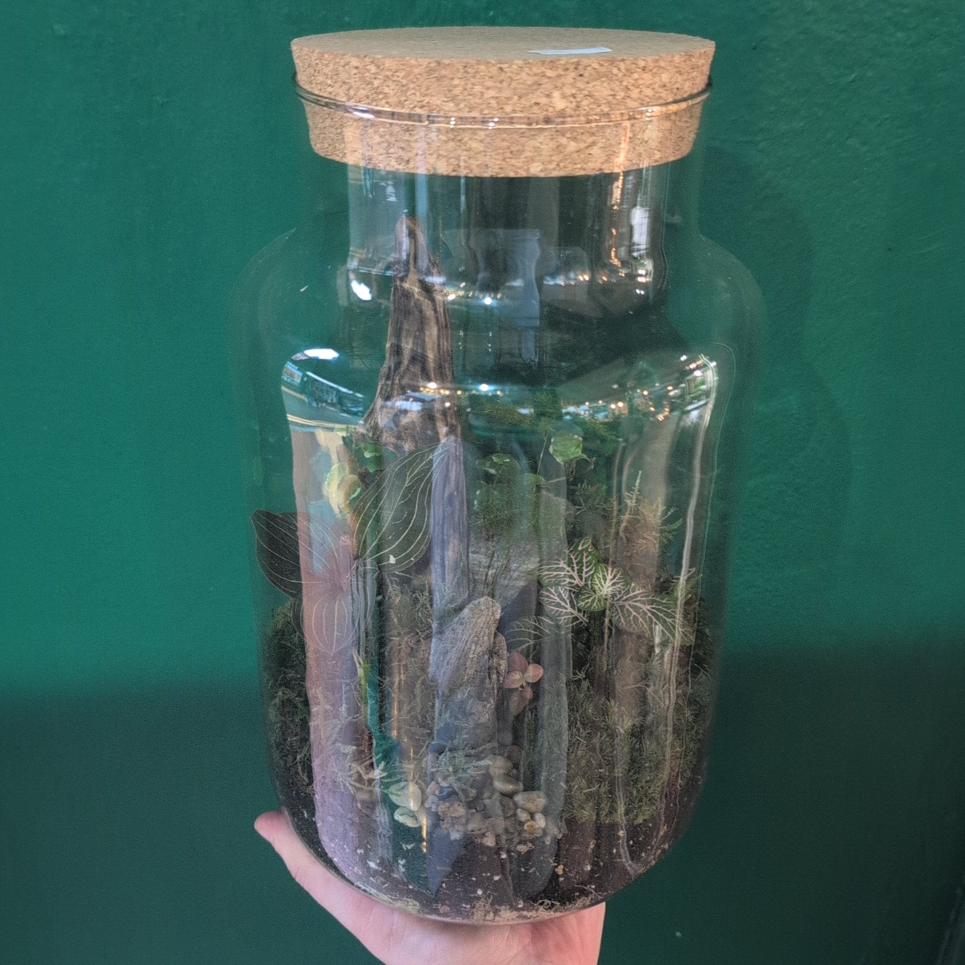 Large Closed Glass Terrarium