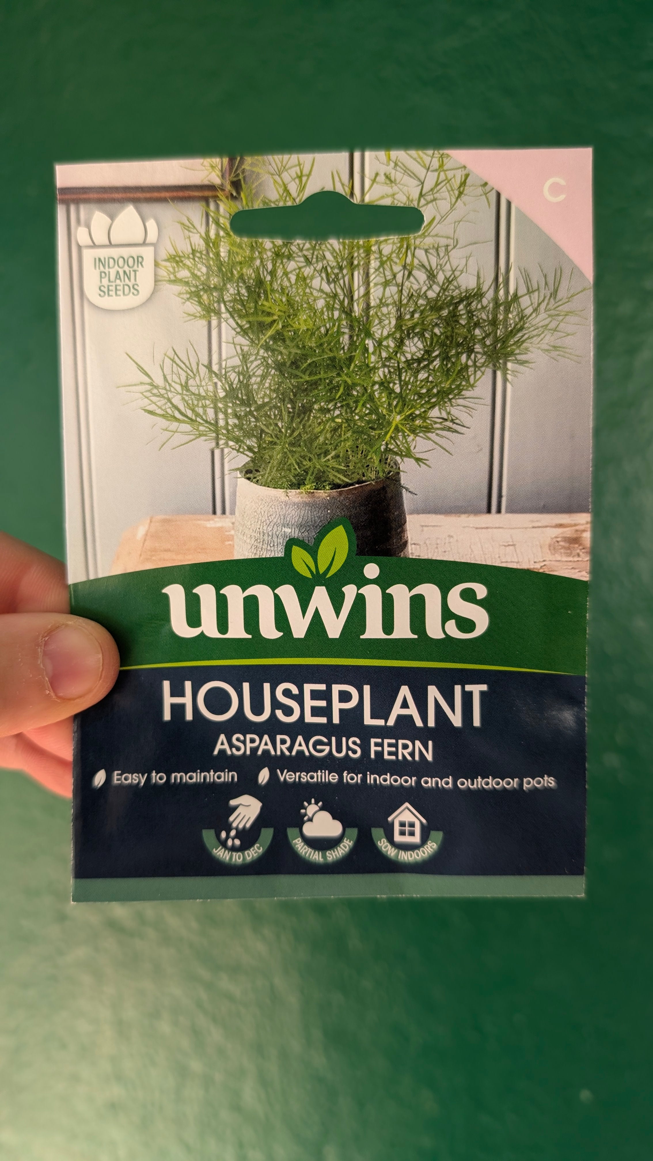 HousePlant Seeds