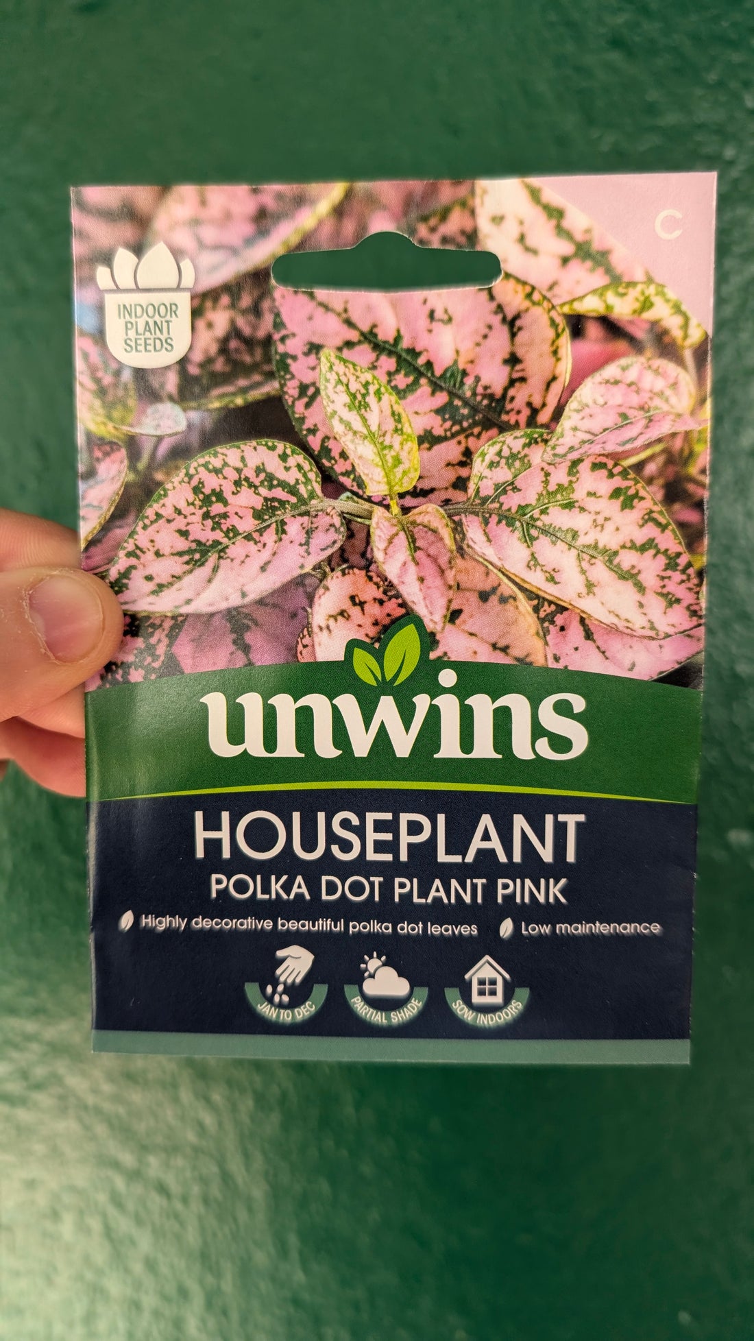 HousePlant Seeds