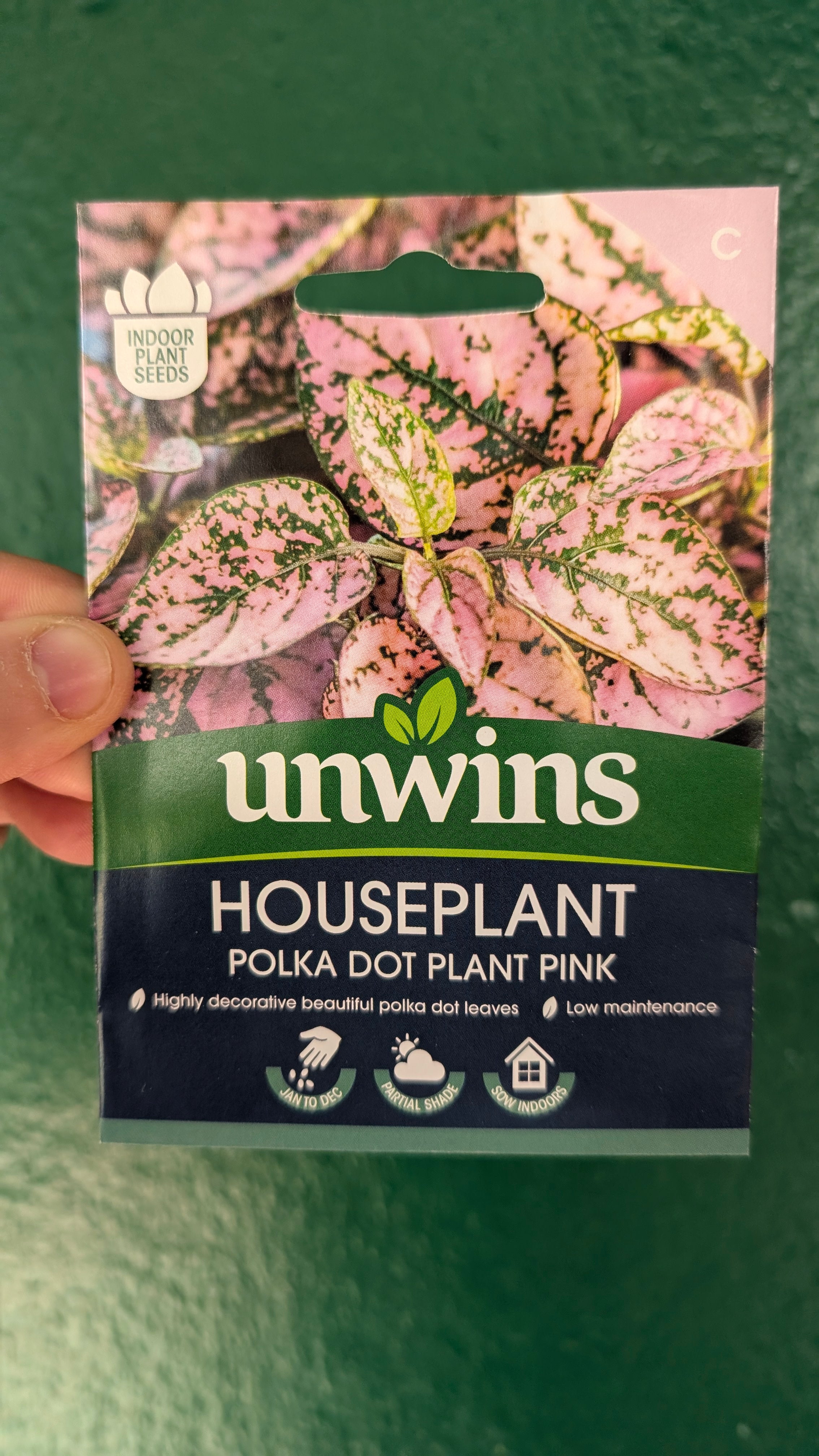 HousePlant Seeds