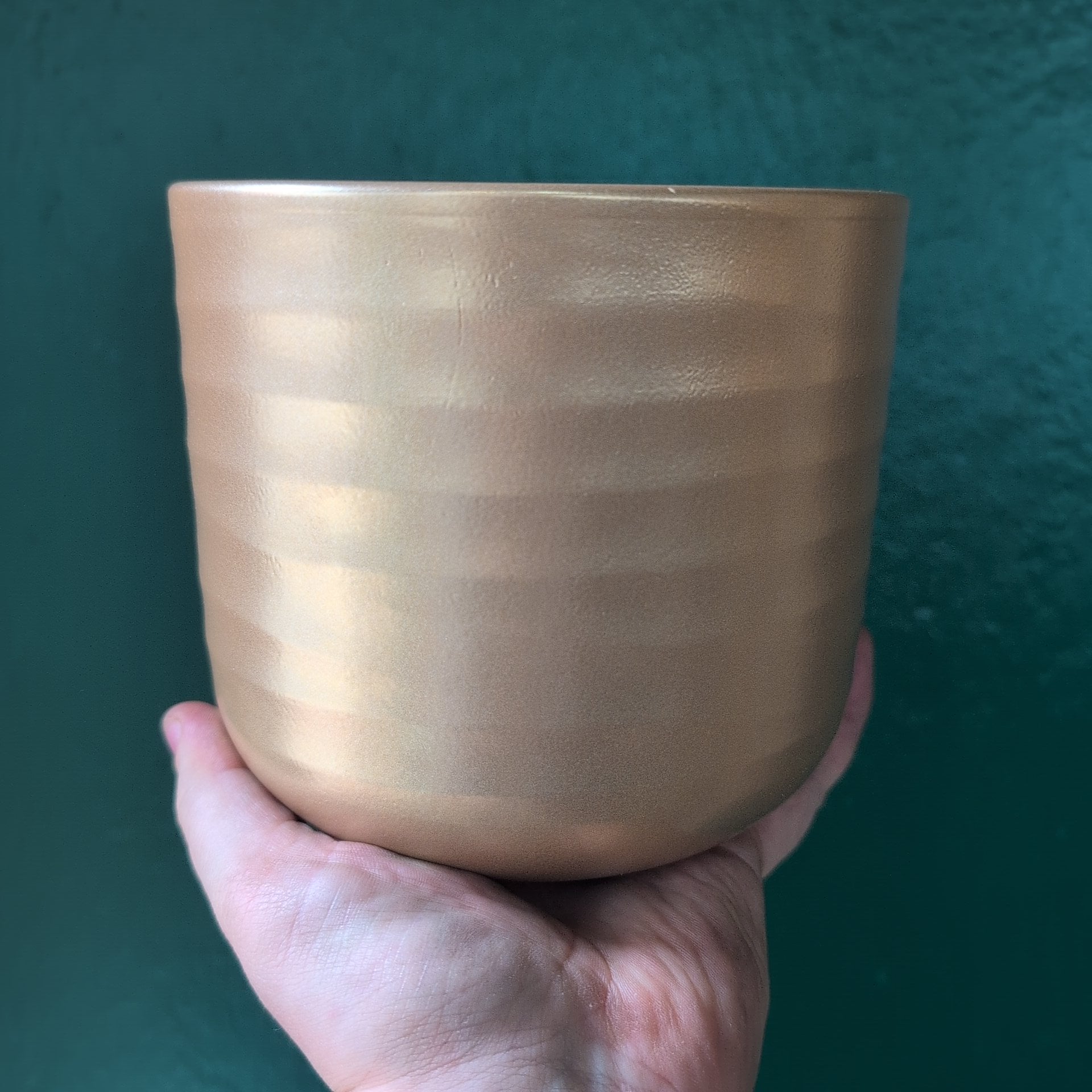 Poinsettia Ripple Pot