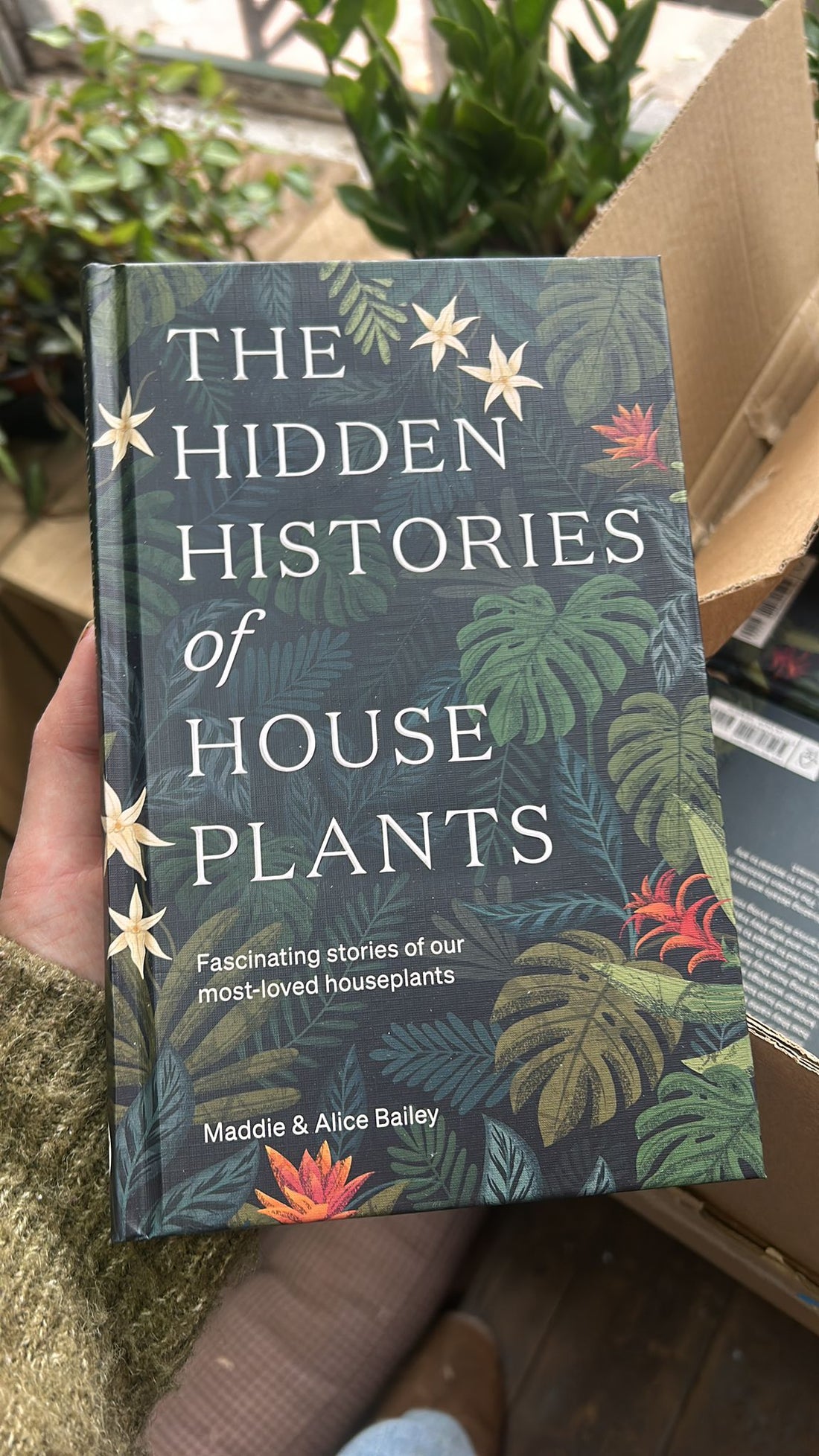 The Hidden Histories of House Plants: Fascinating Stories of Our Most-Loved Houseplants by Alice & Maddie Bailey