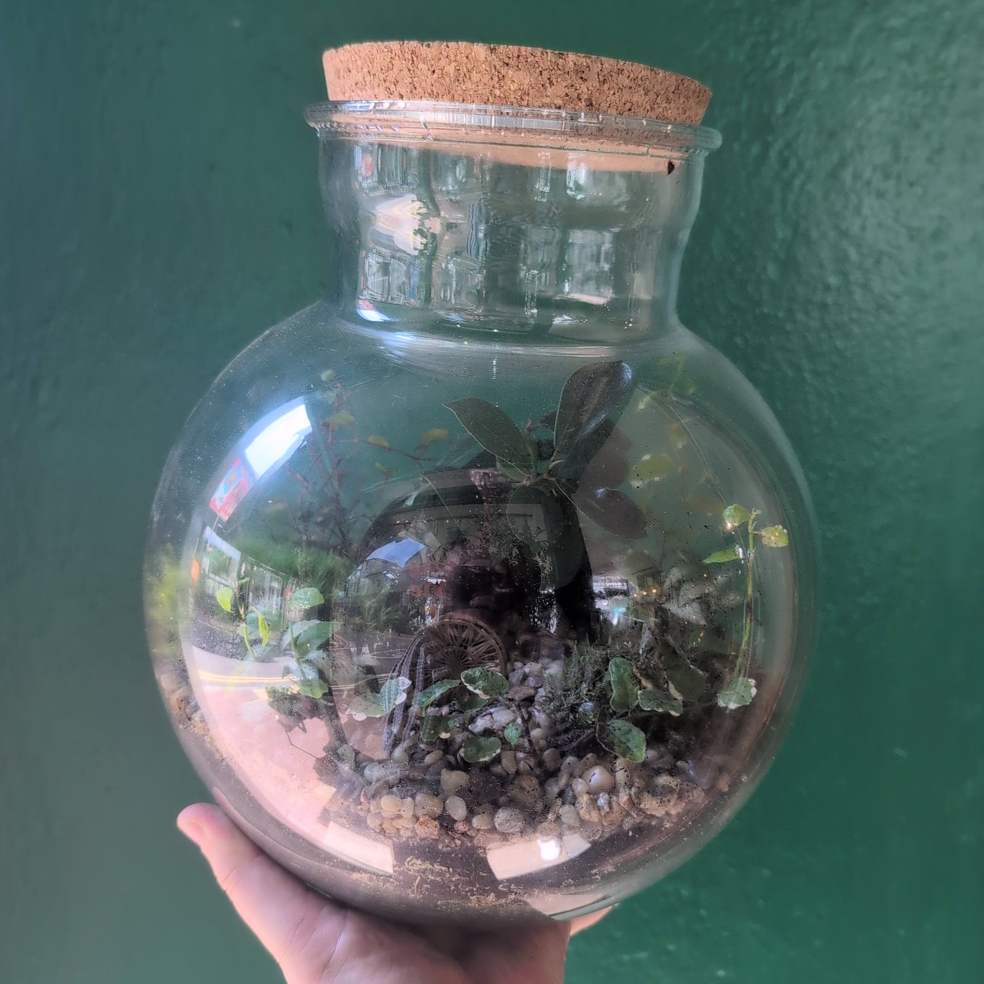 Globe Terrarium -3 Sizes Available