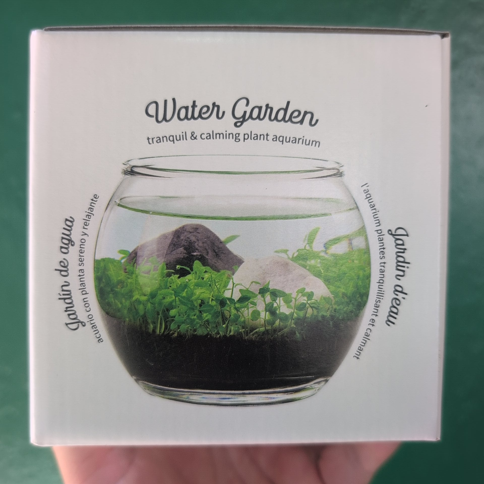 Water Garden Zen Plant Aquarium Kit