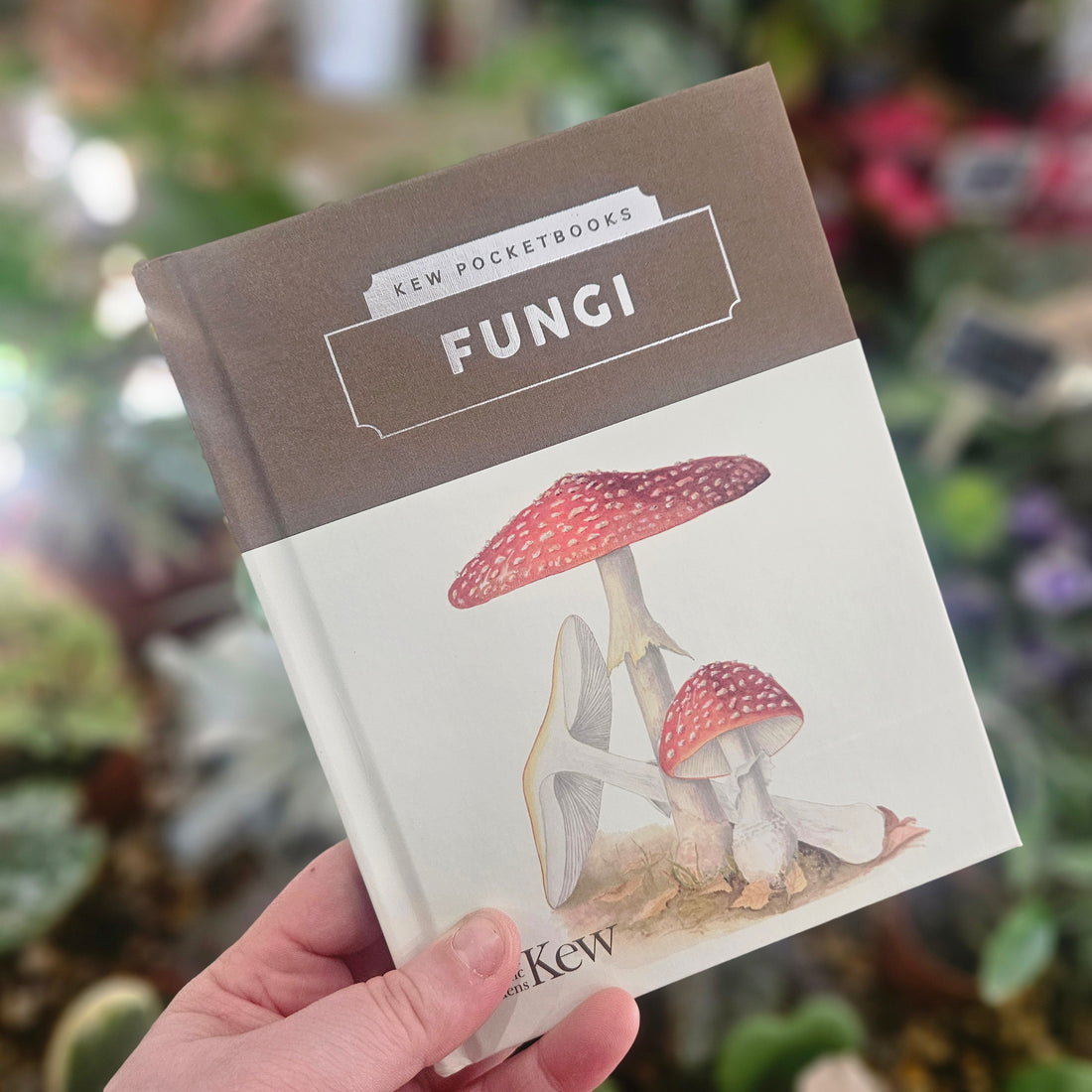 Kew Pocketbooks: Fungi