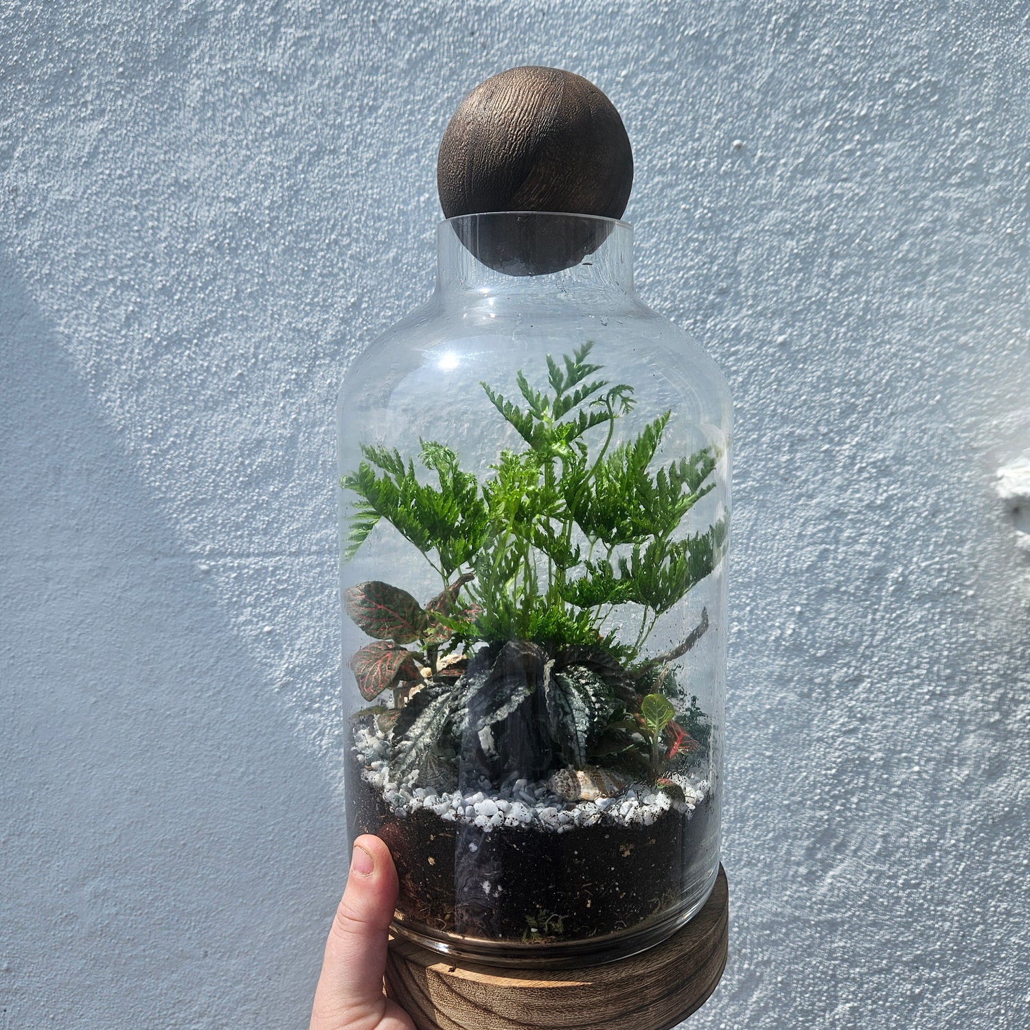 Glass closed terrarium with round cork -3 sizes available