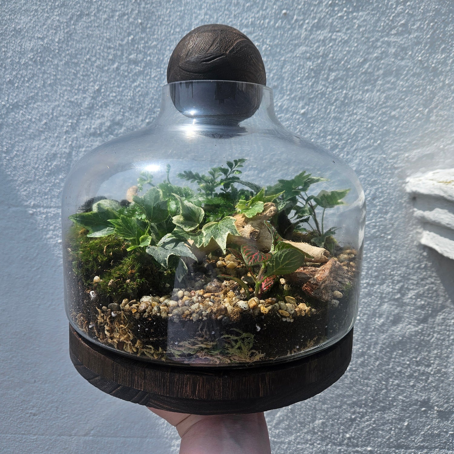 Glass closed terrarium with round cork -3 sizes available
