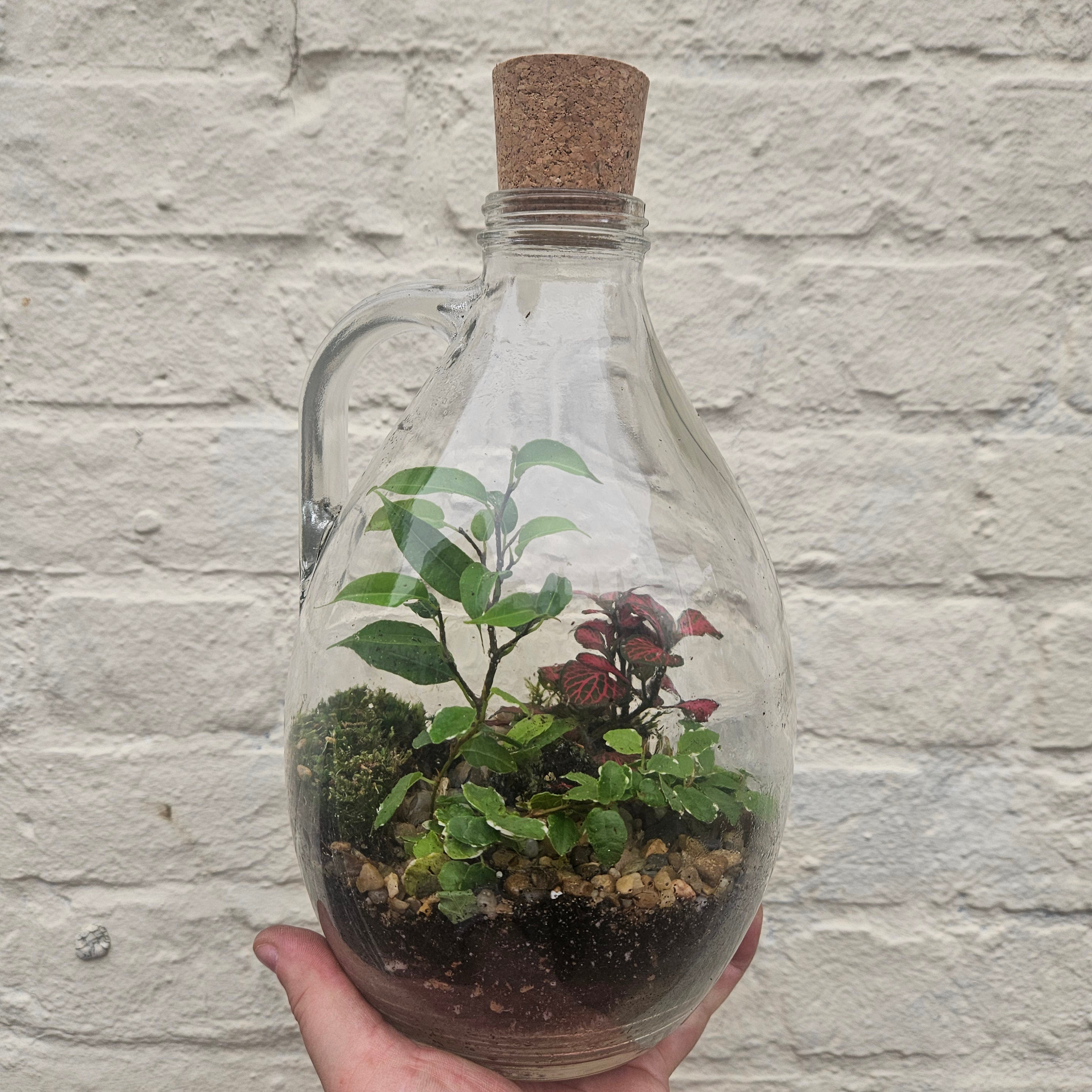 Glass Bottle with handle Terrarium