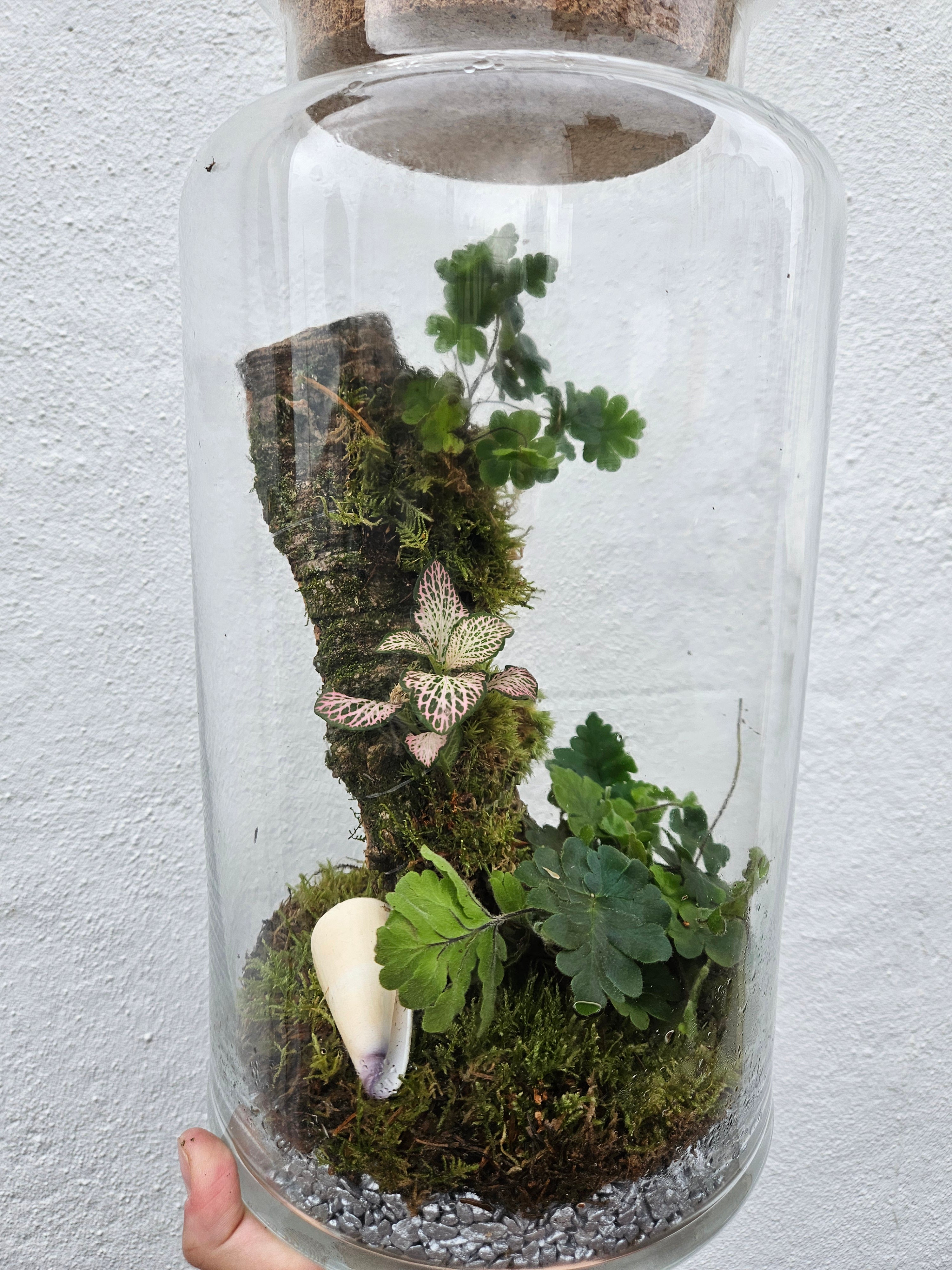 Tall Planted Cork Terrarium
