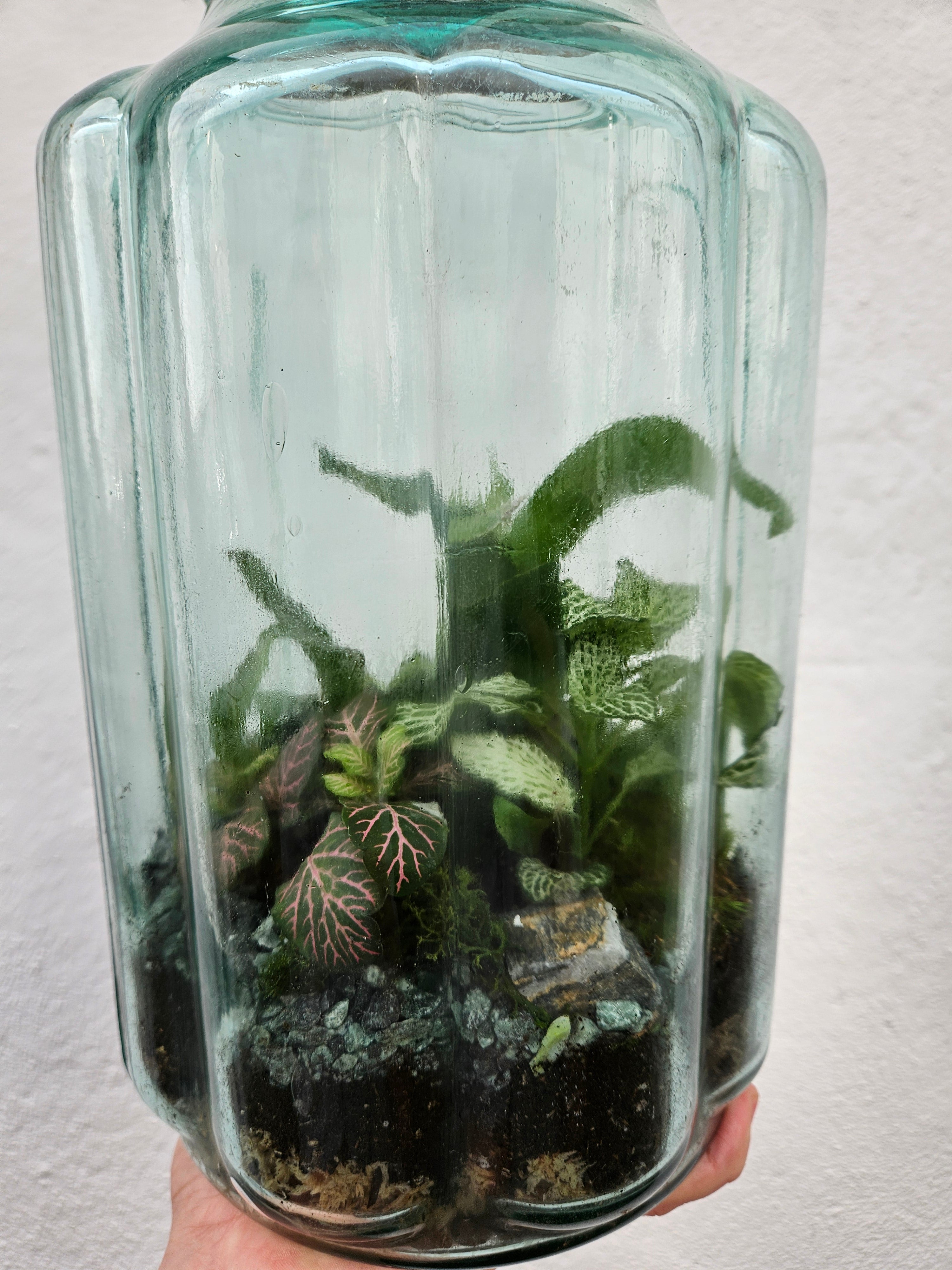 Tall Vintage Blue Bubble Glass Closed Terrarium