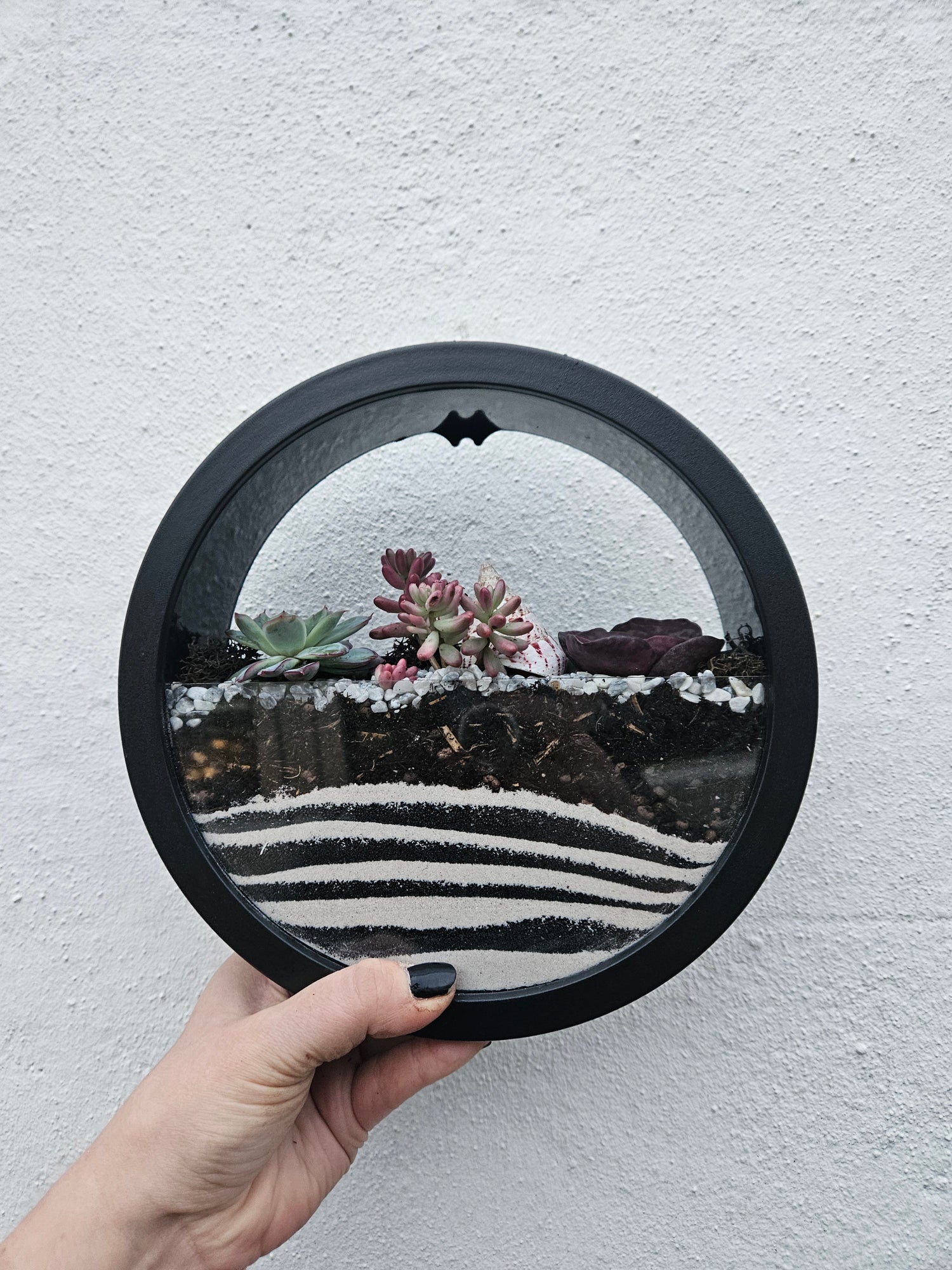 Wall Mounted Disc Succulent Planter -available in Black or White in 2 sizes