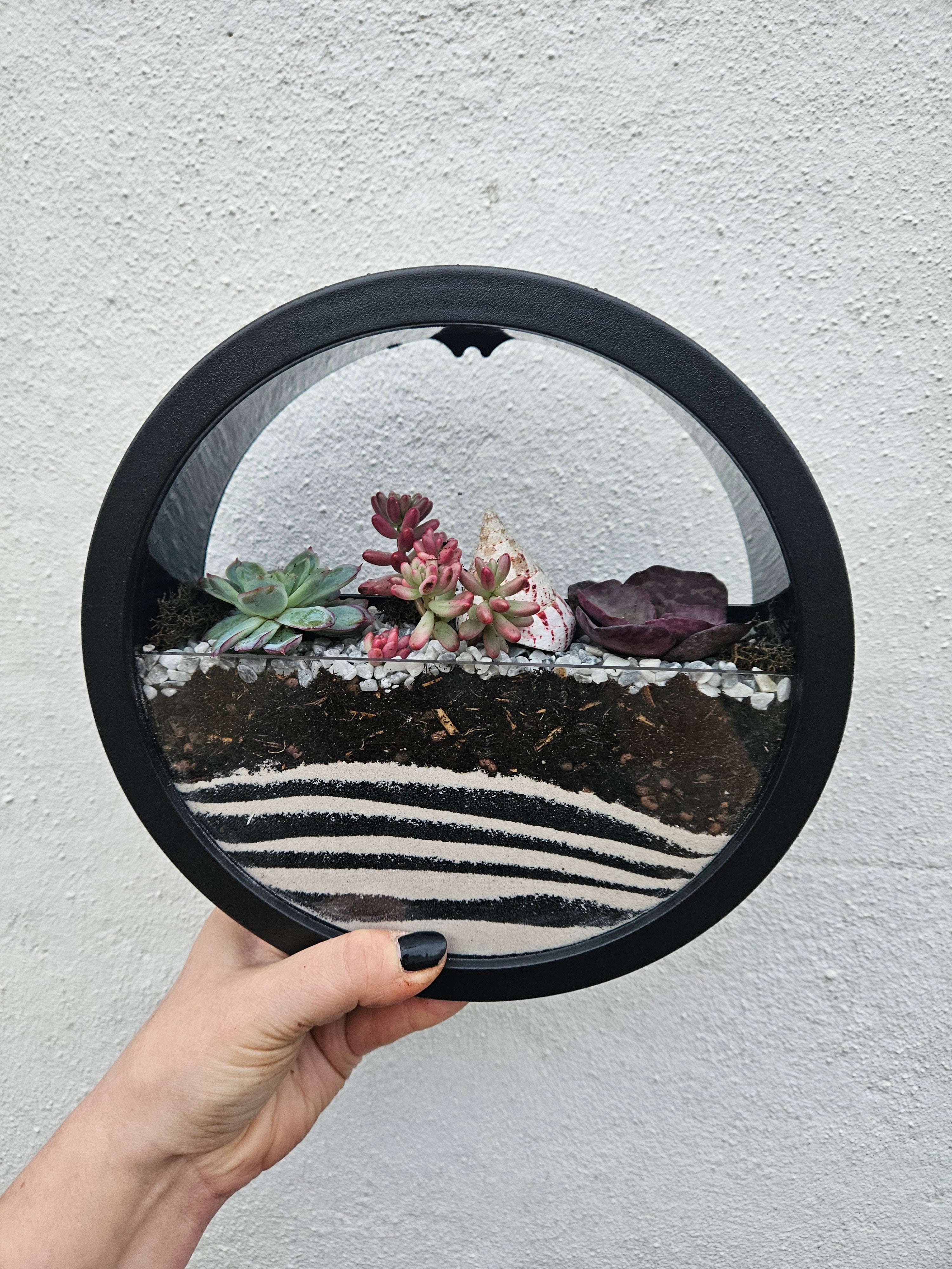 Wall Mounted Disc Succulent Planter -available in Black or White in 2 sizes