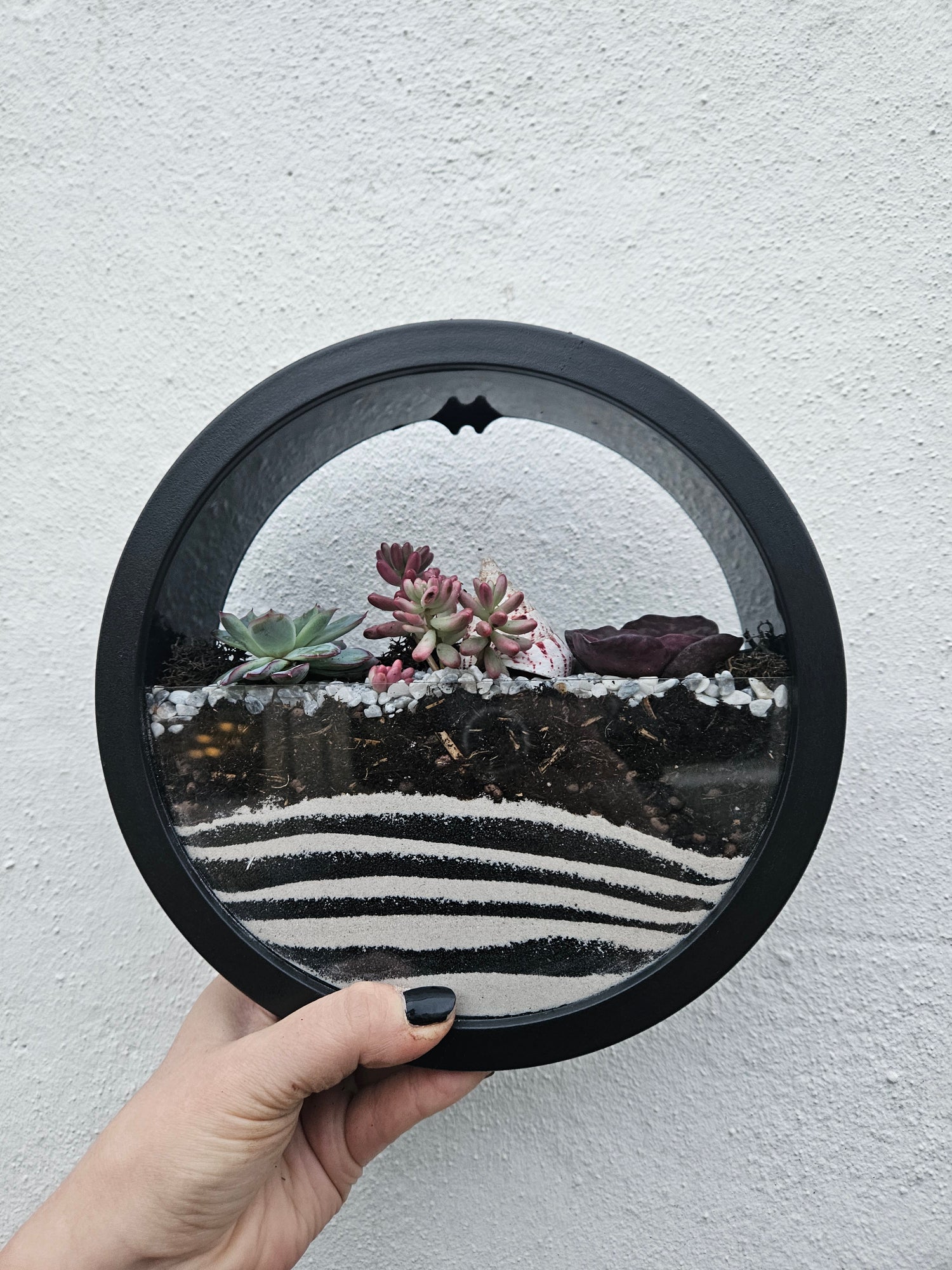 Wall Mounted Disc Succulent Planter -available in Black or White in 2 sizes