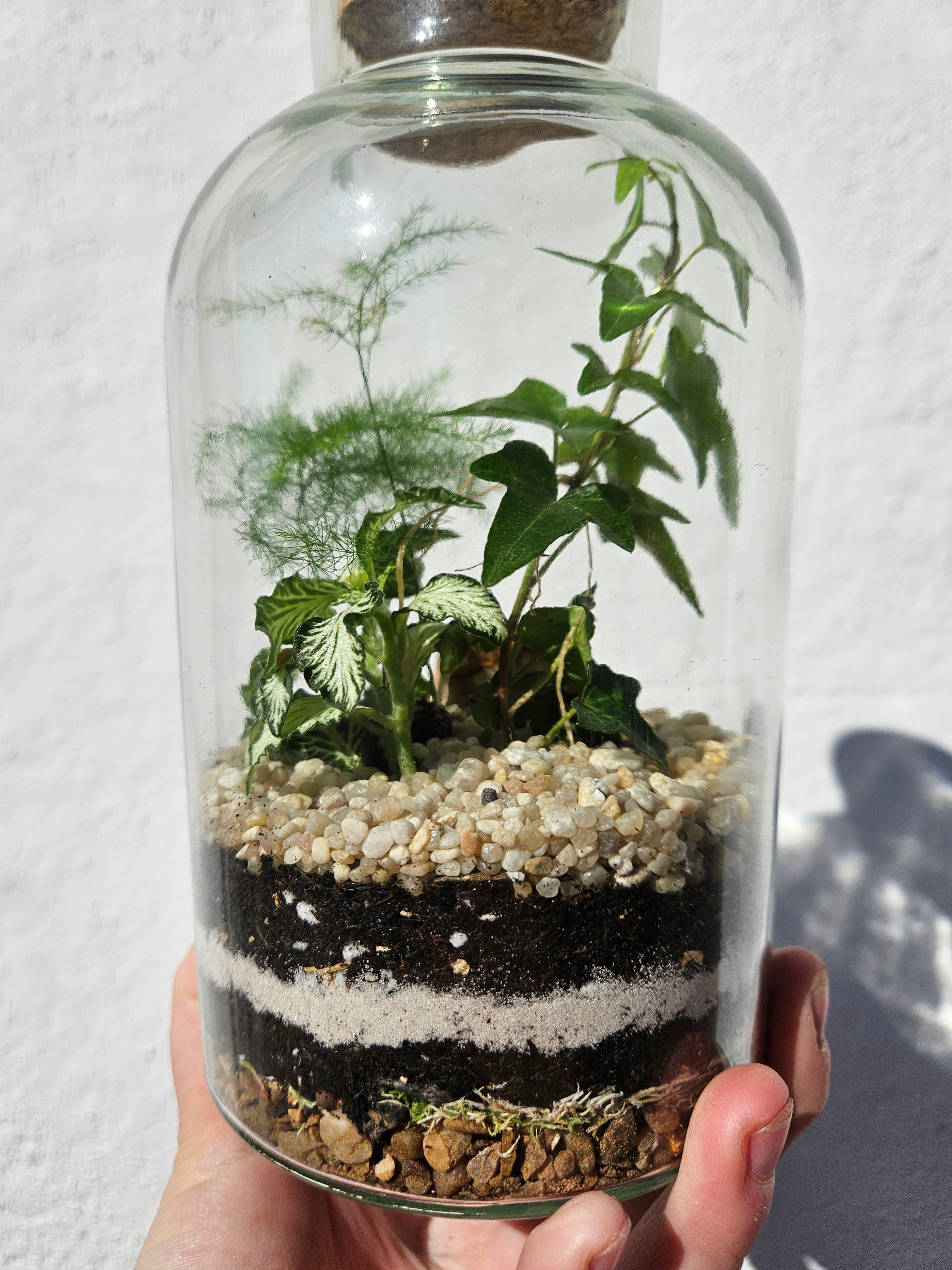 16/04/2026 at 6pm Small Closed Terrarium Evening Workshop
