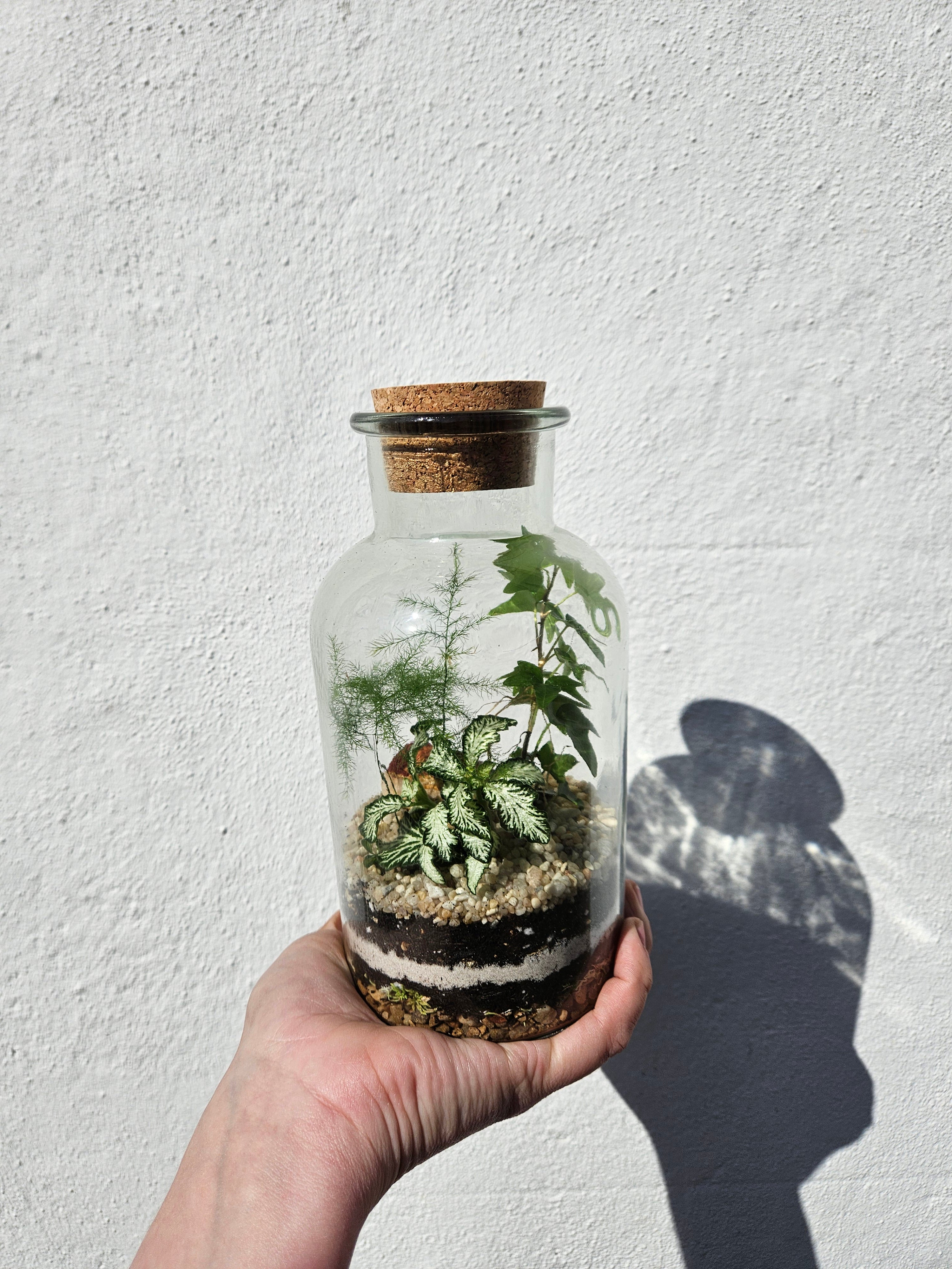 16/04/2026 at 6pm Small Closed Terrarium Evening Workshop