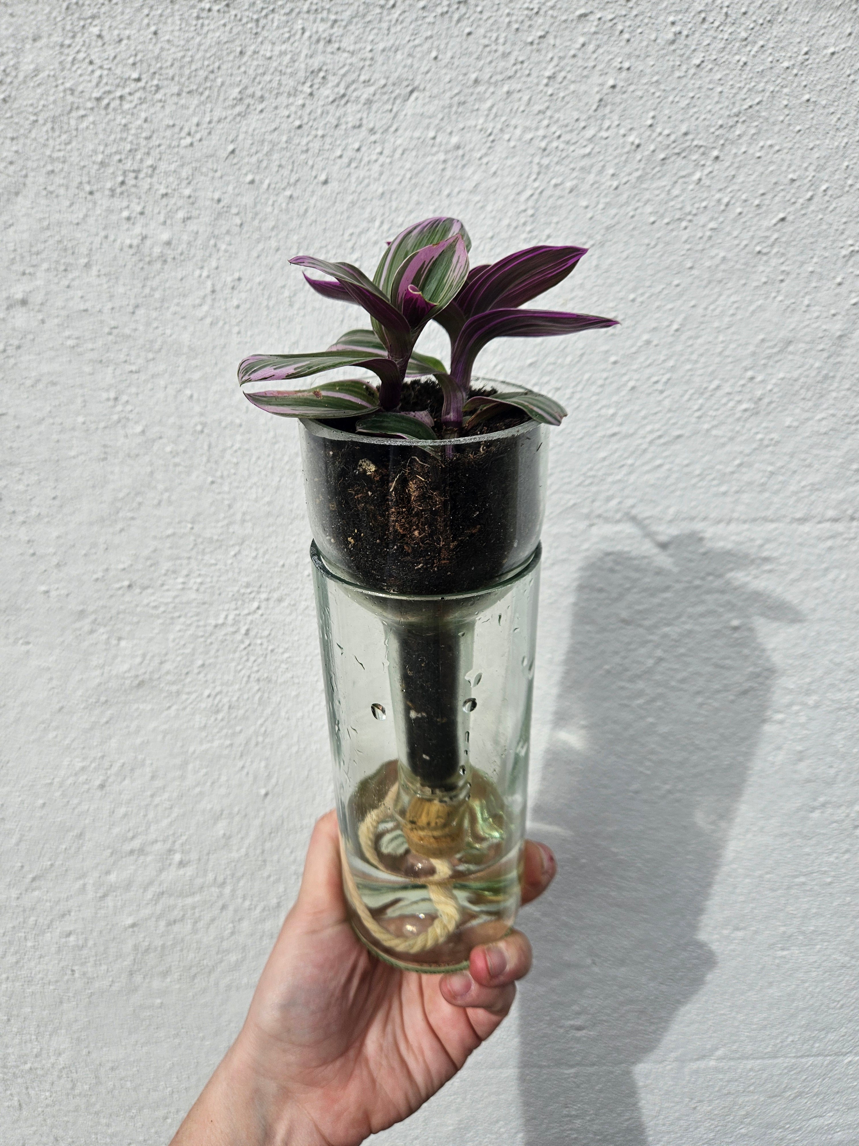 Self-watering bottle planter
