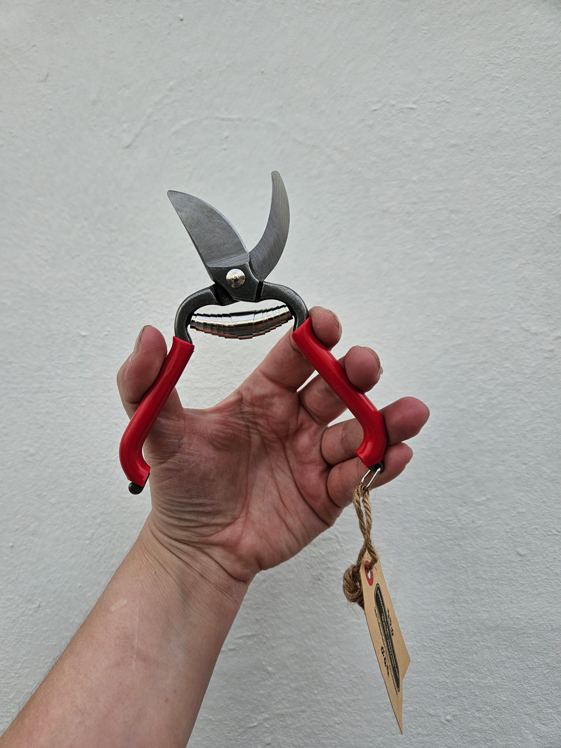 Red Pruning scissors