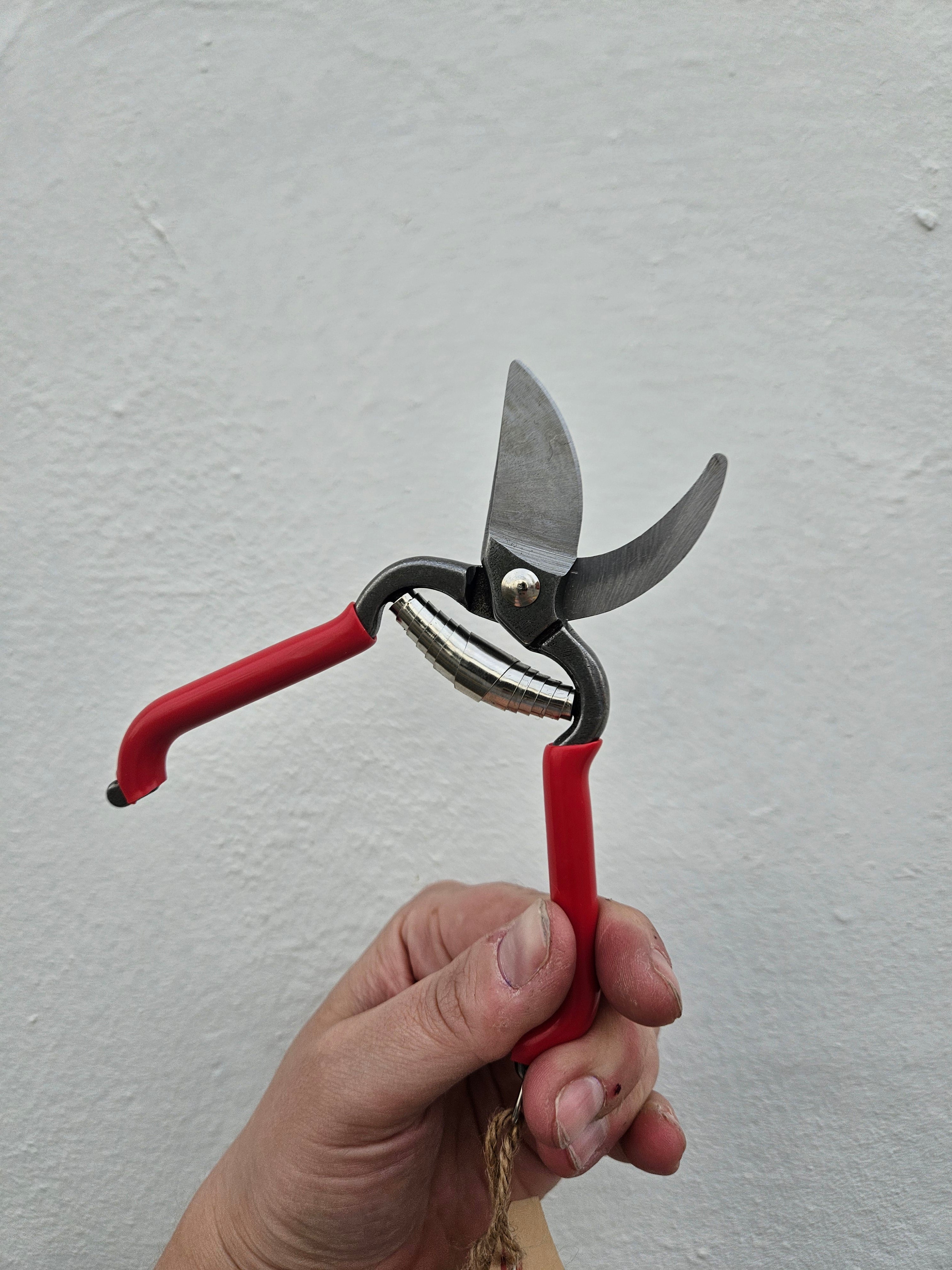 Red Pruning scissors