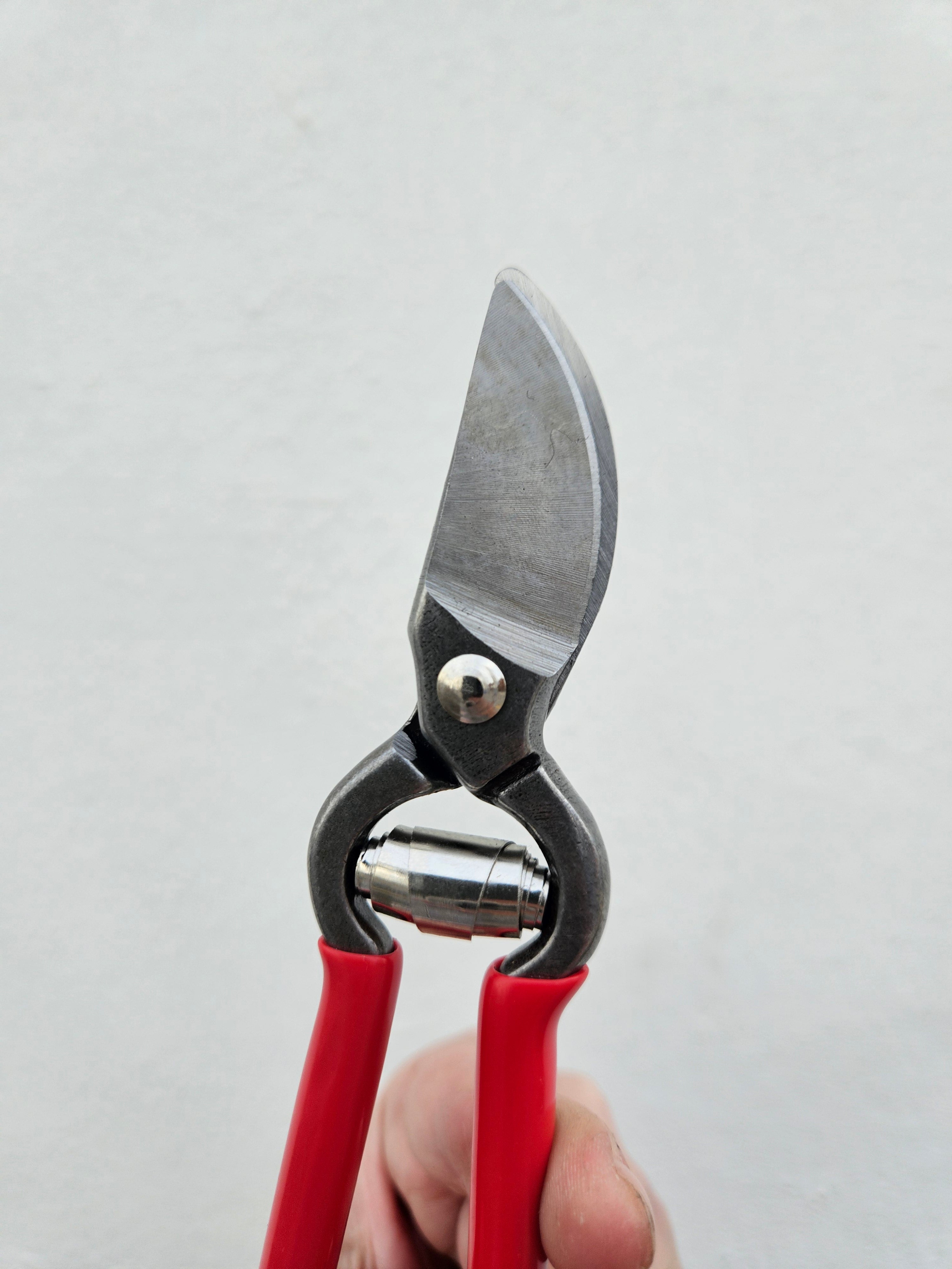 Red Pruning scissors