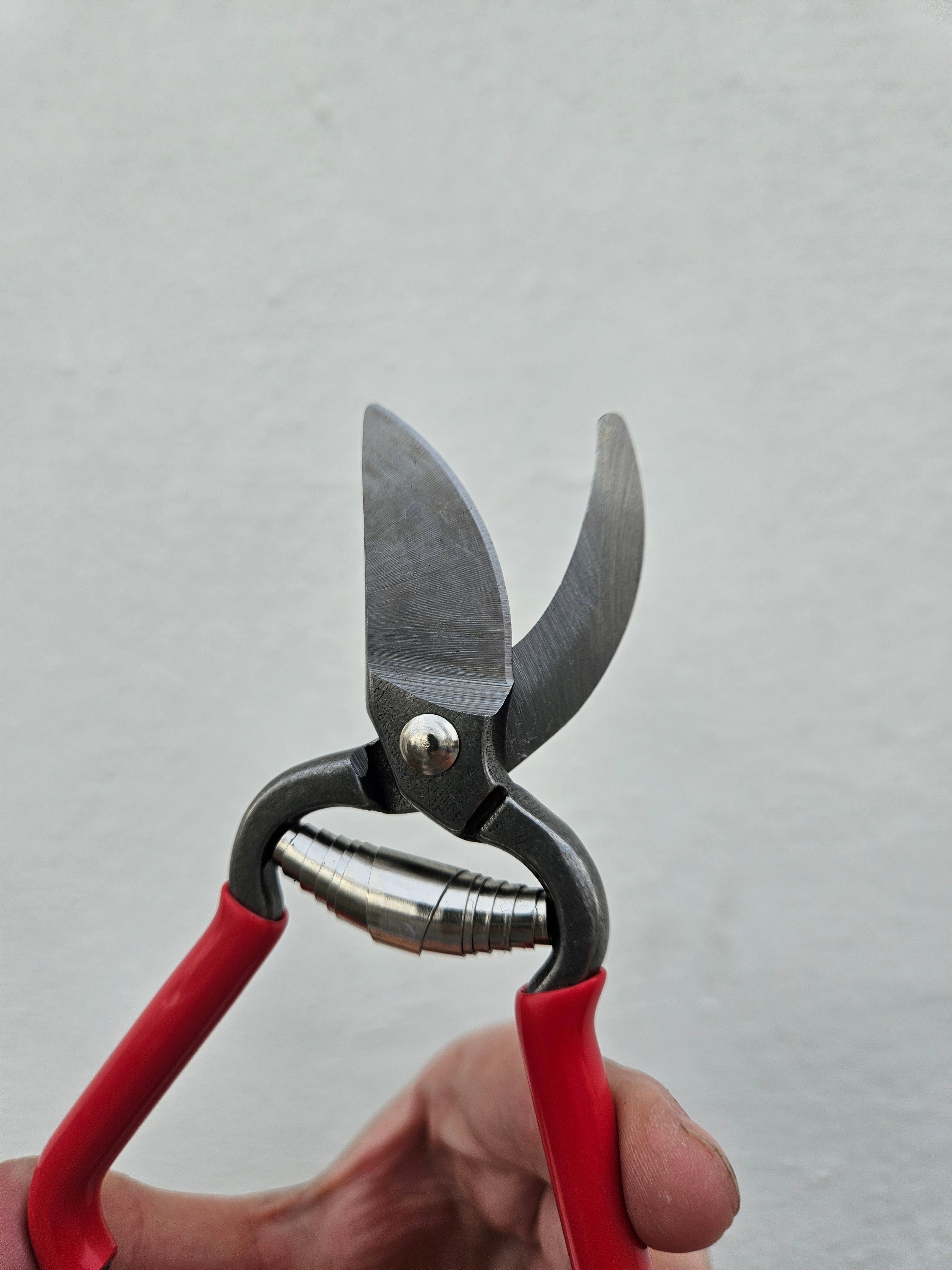 Red Pruning scissors