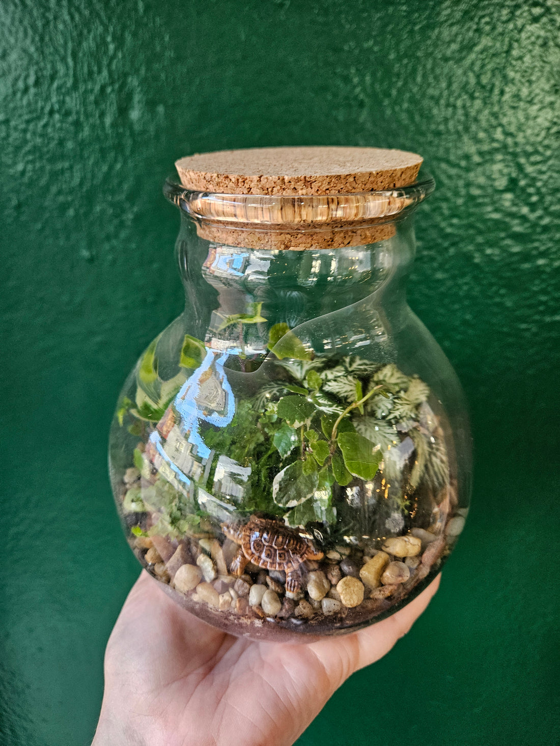 Globe Terrarium -3 Sizes Available