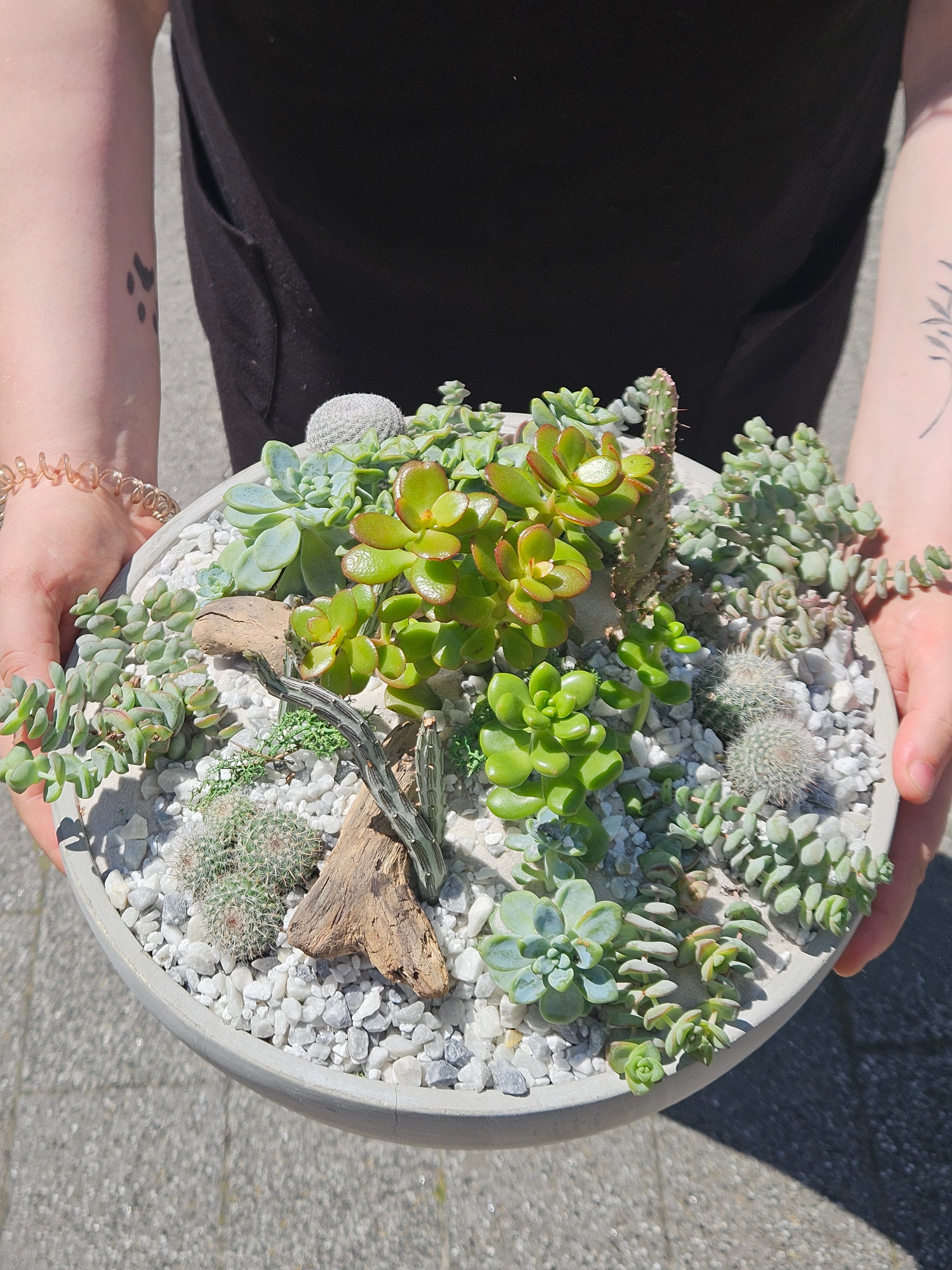 07/11/2026 at 11am Open Terrarium Workshop