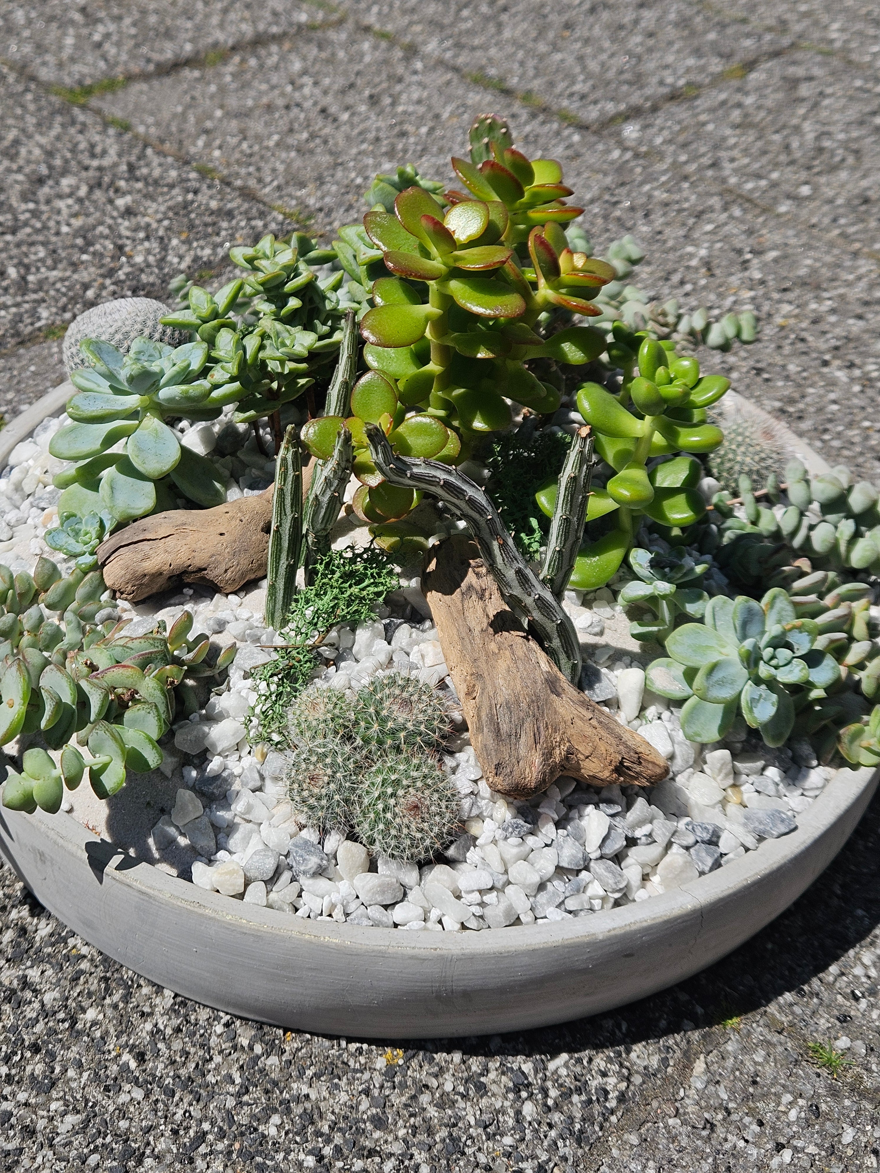 07/11/2026 at 11am Open Terrarium Workshop