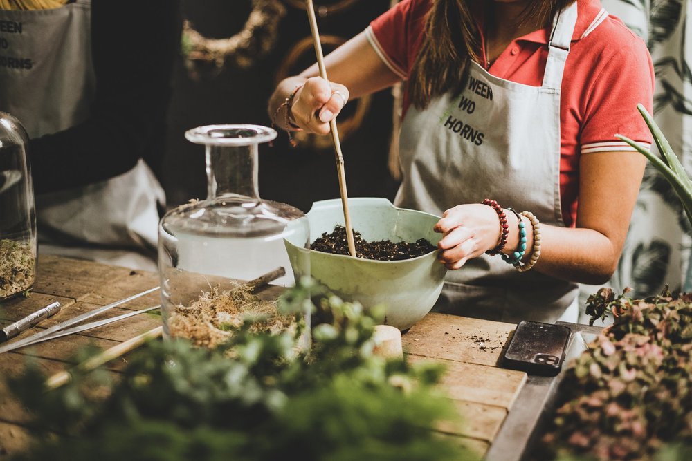 13/07/2024 at 11am Closed terrarium workshop