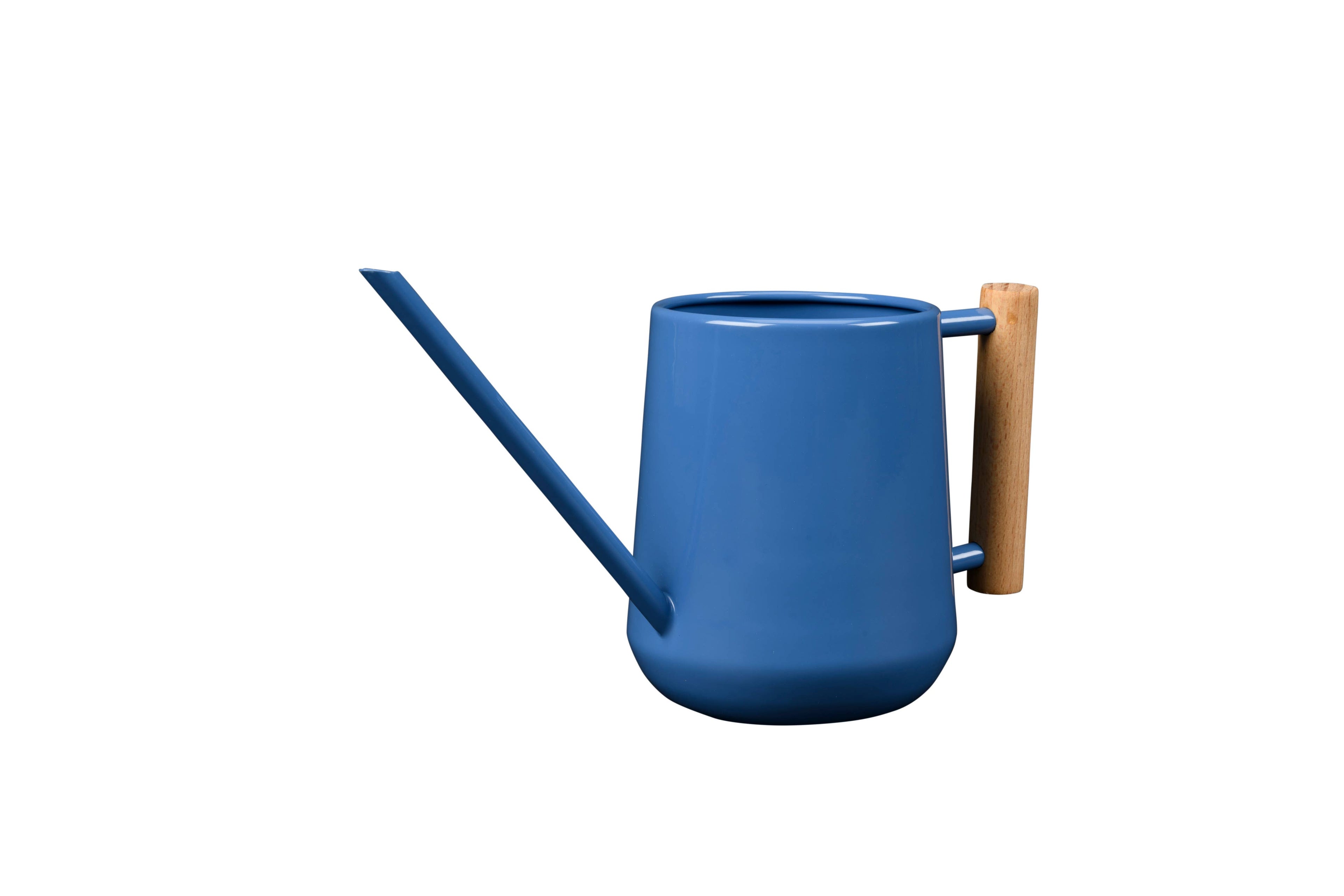 Small Indoor Watering Can