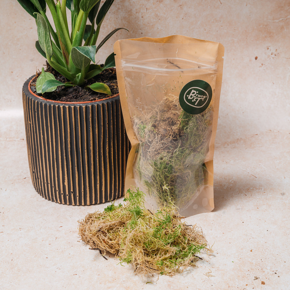 WHOLESALE SPHAGNUM MOSS