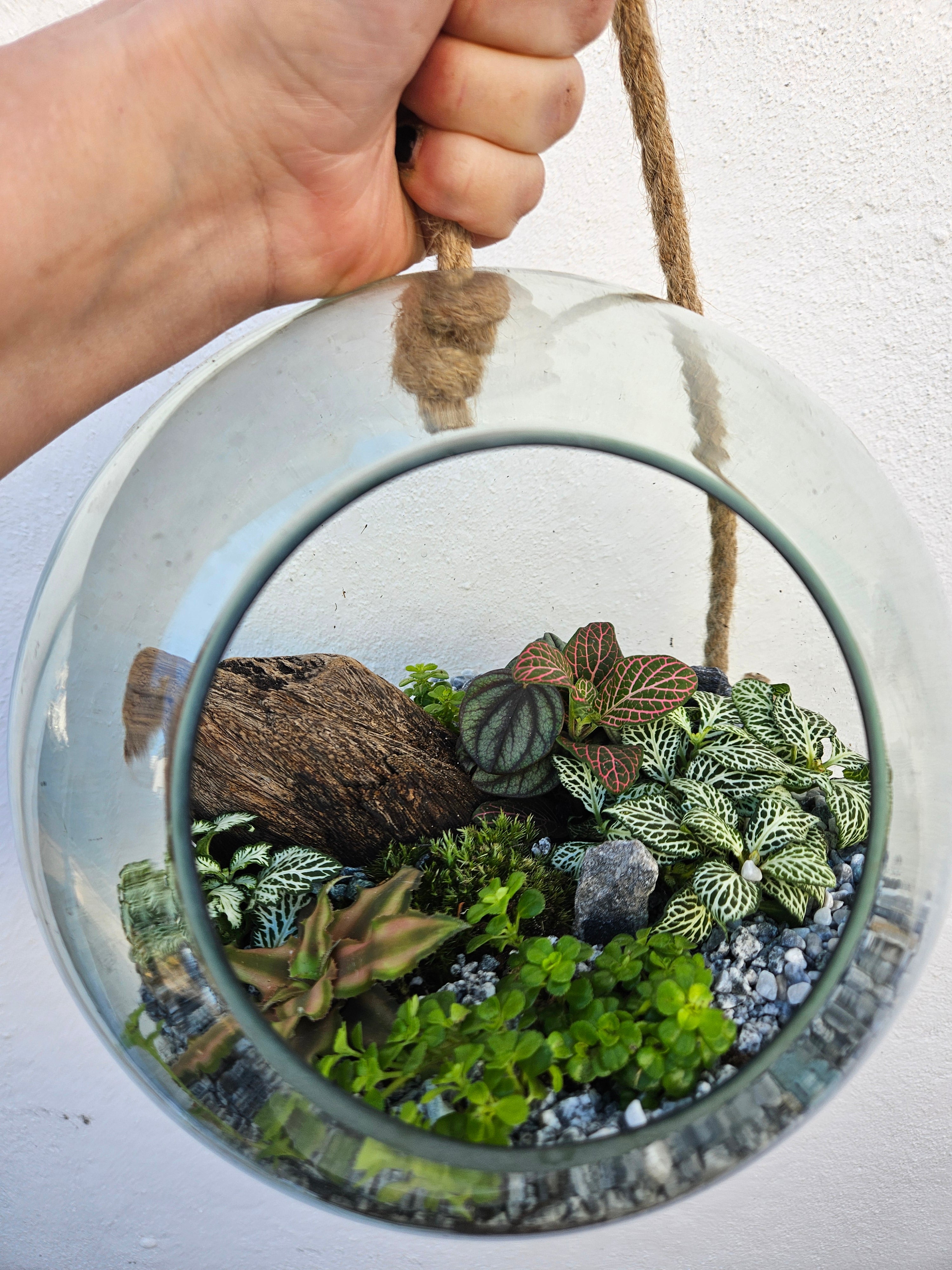 Hanging Globe Open Terrarium