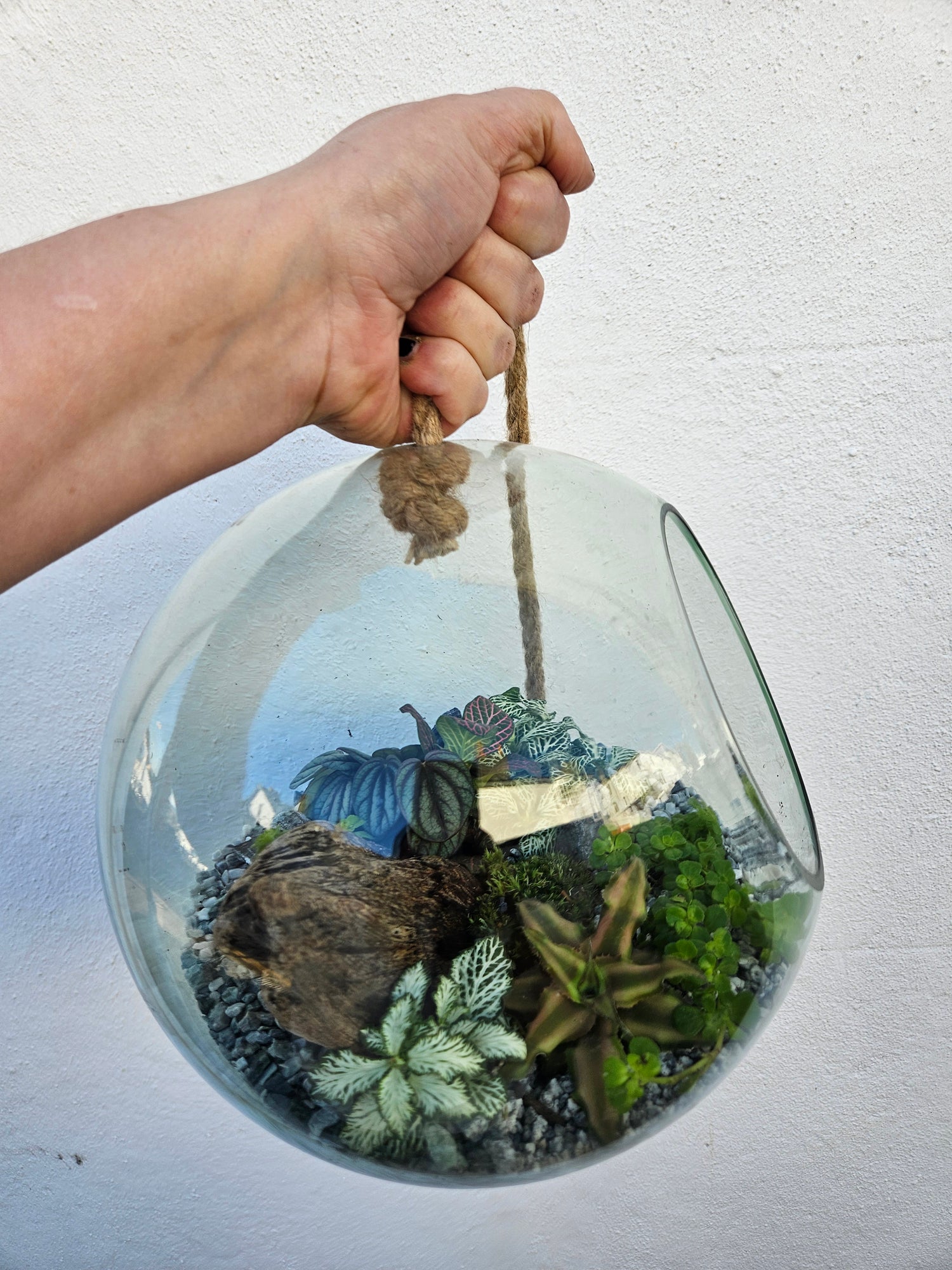 Hanging Globe Open Terrarium