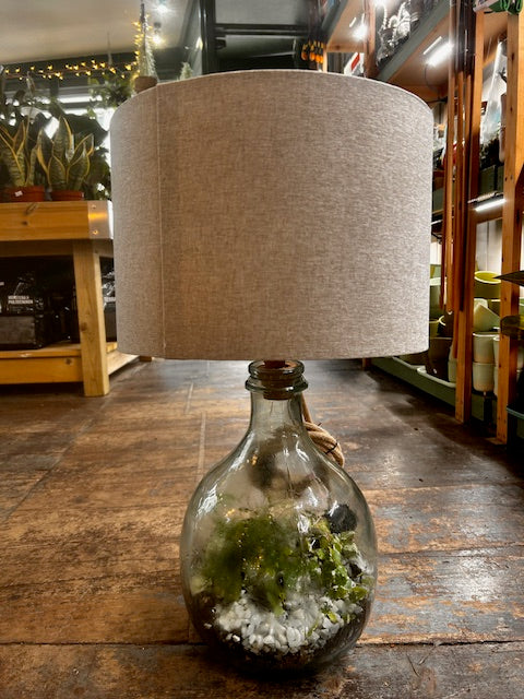 Terrarium Lamp