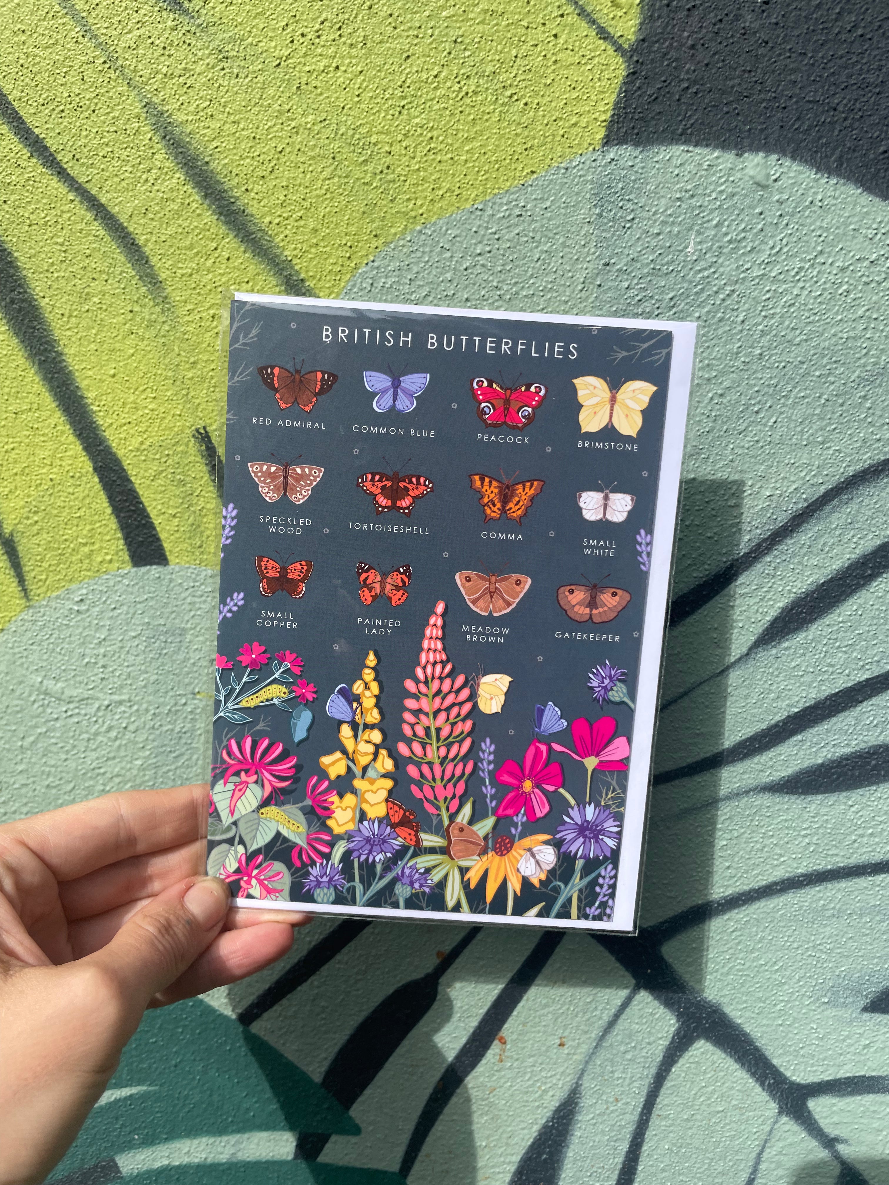 British Nature Guides Greeting Cards
