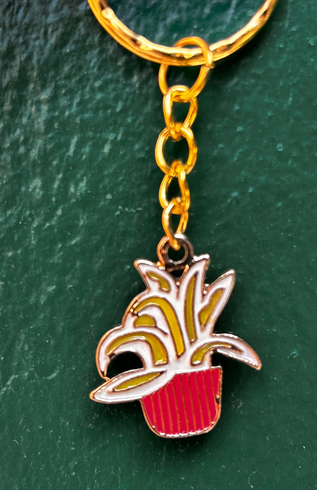 Houseplant Keyring&