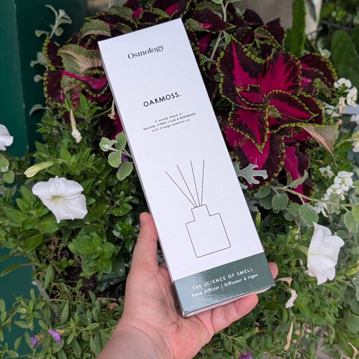 Oakmoss Reed Diffuser - Osmology by Aery