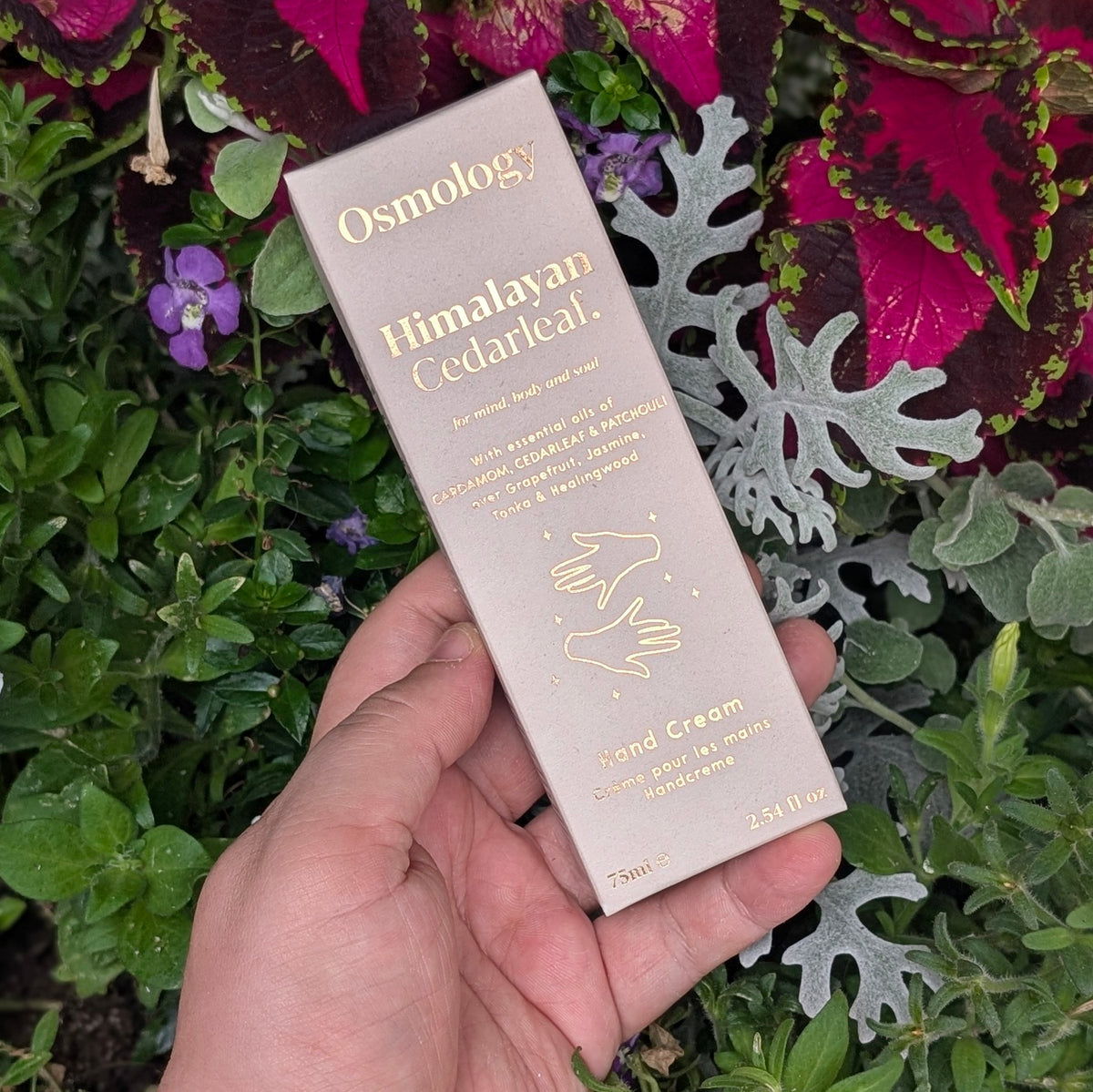 Himalayan Cedarleaf Hand Cream - Osmology by Aery