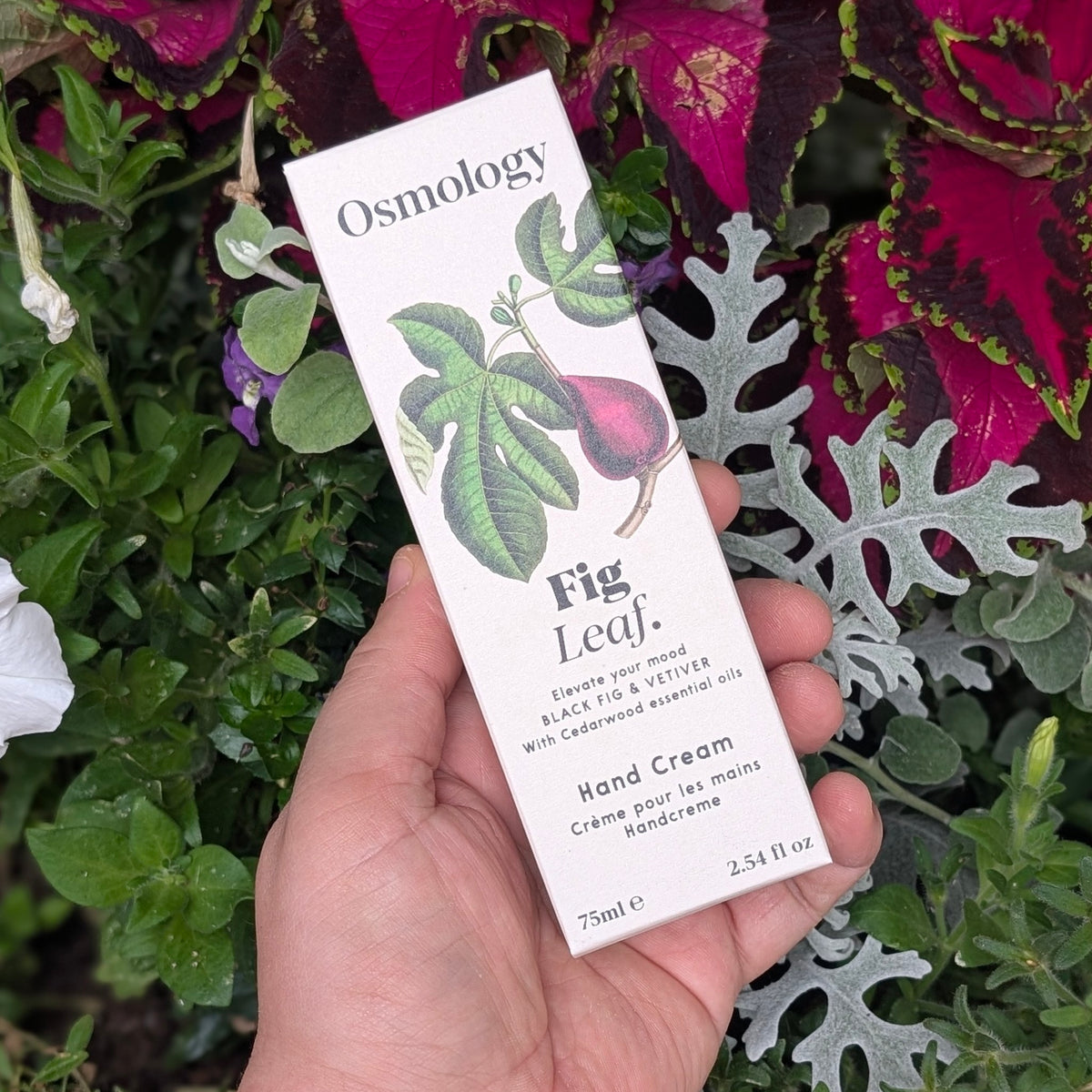 Fig Leaf Hand Cream - Osmology by Aery